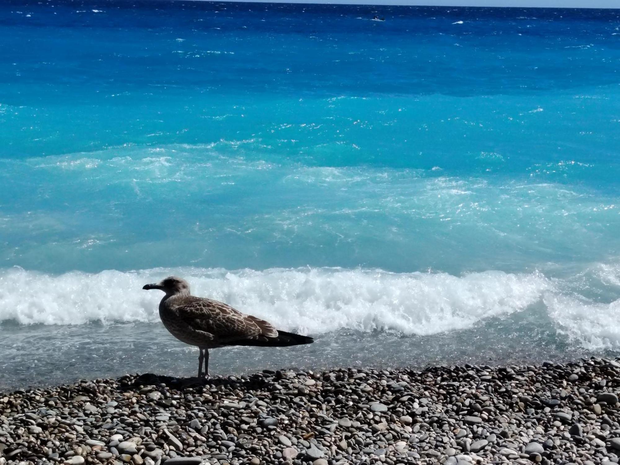 La Terrazza Apartment Nice