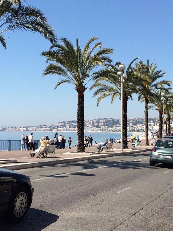 Apartment Deluxe Charmant, En Plein Centre Ville, Centre *