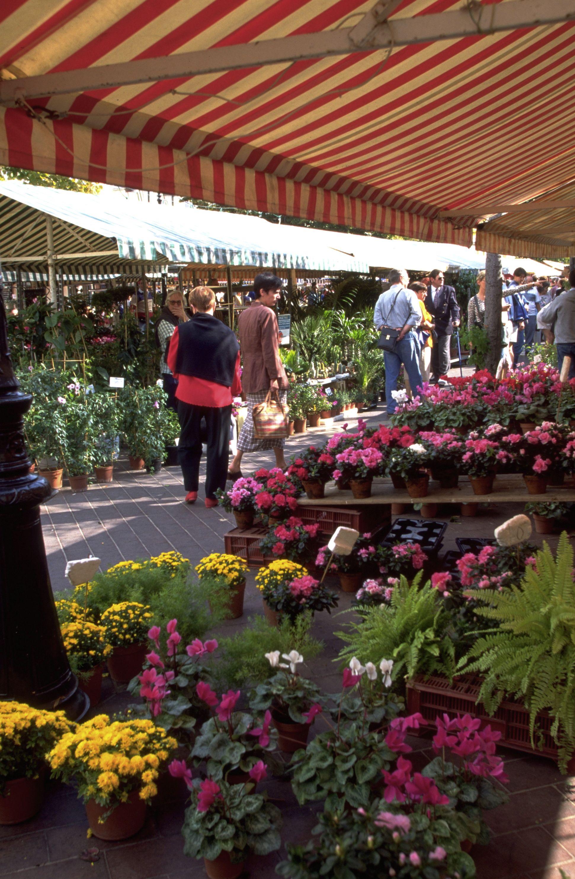 Mercure Promenade Des Hotel 4*