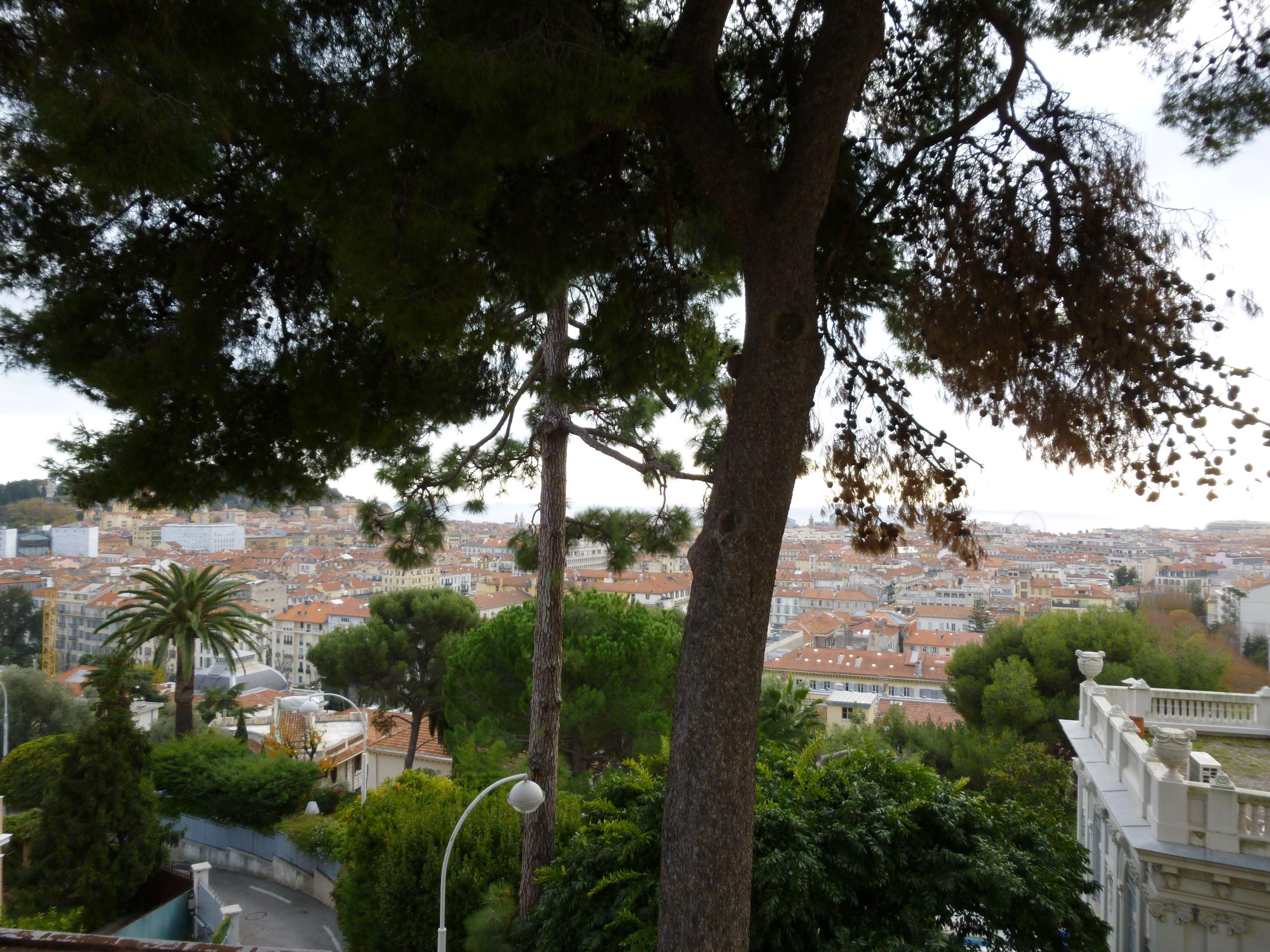 Hotel Petit Palais 4*