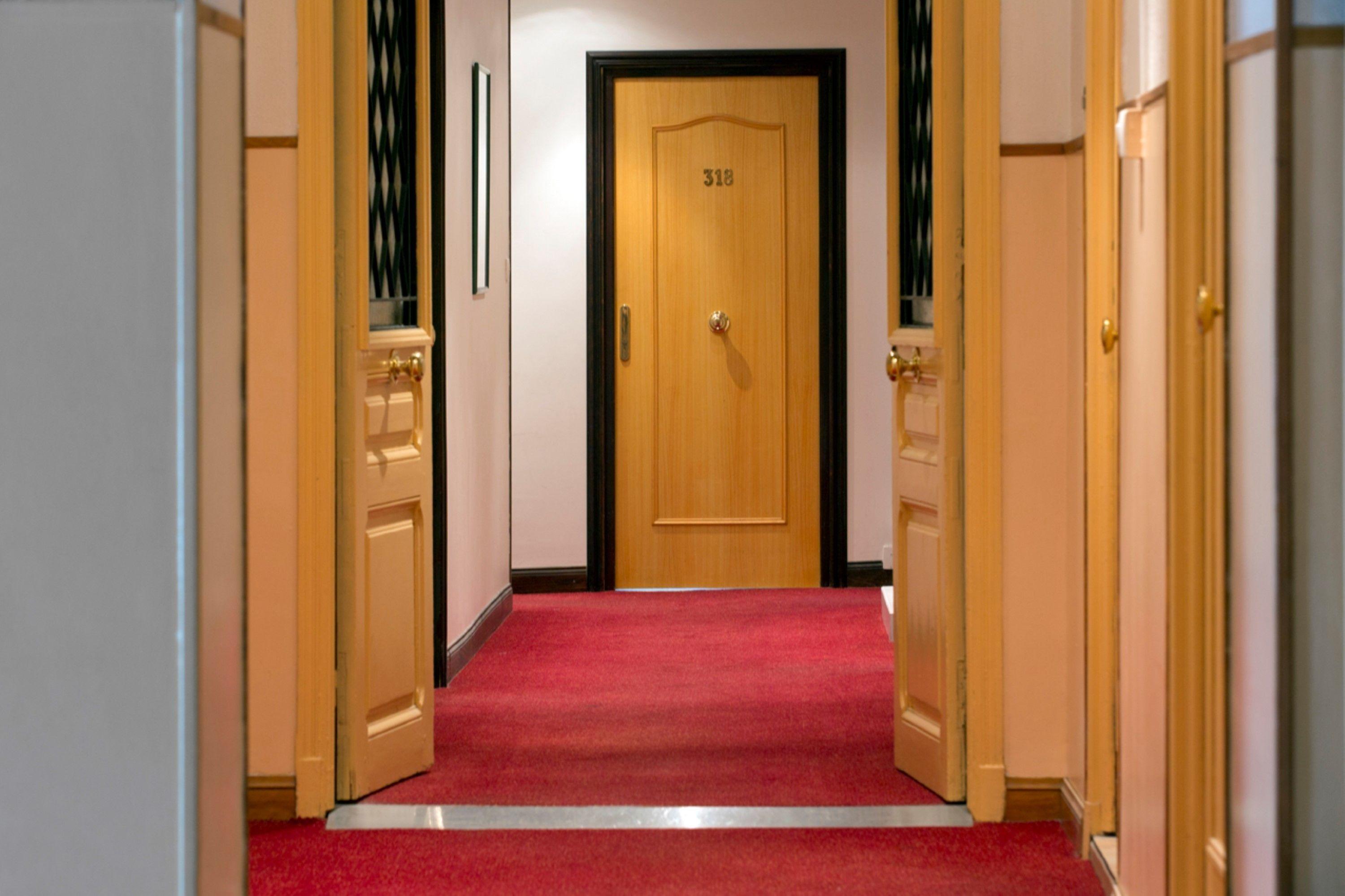 Ammi Massena - Ex Ajoupa Nice