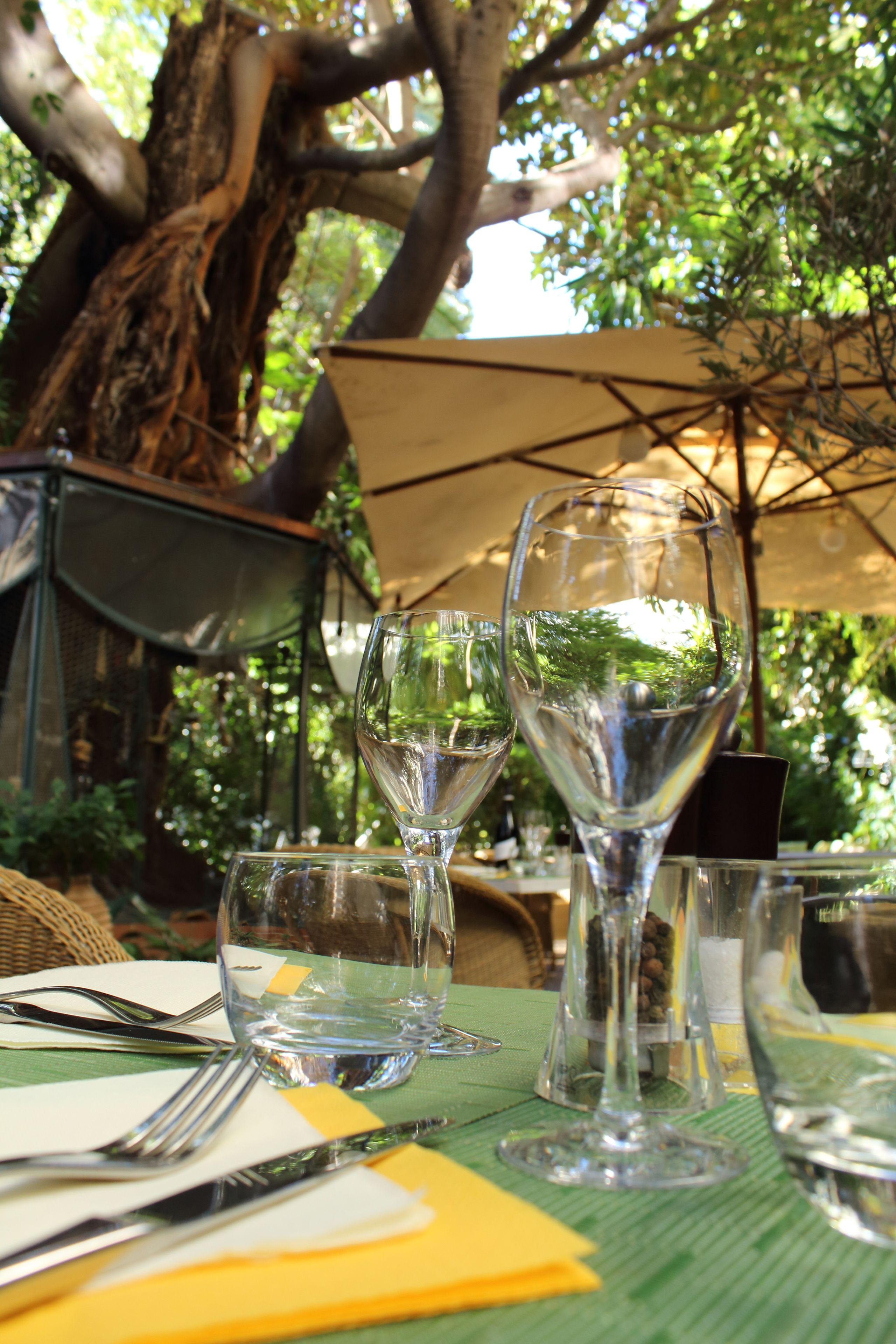 Le Windsor, Jungle Art 4*