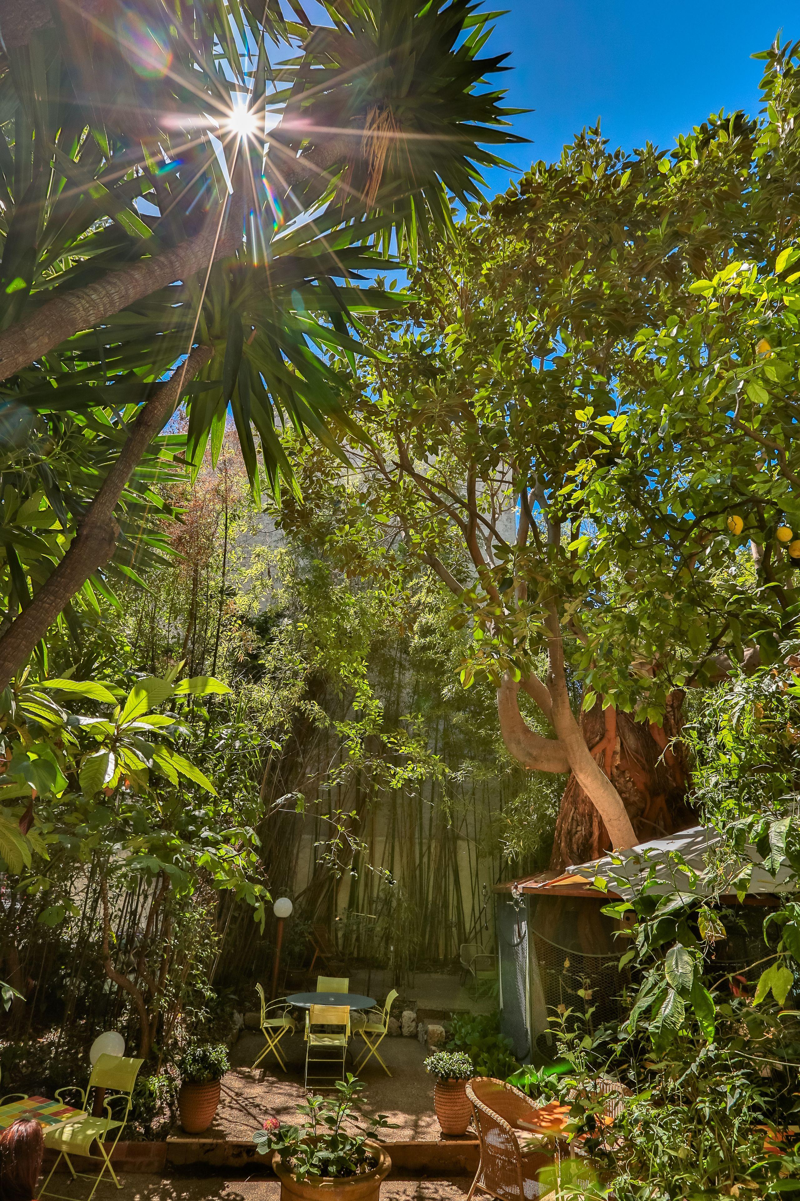 Le Windsor, Jungle Art Nice