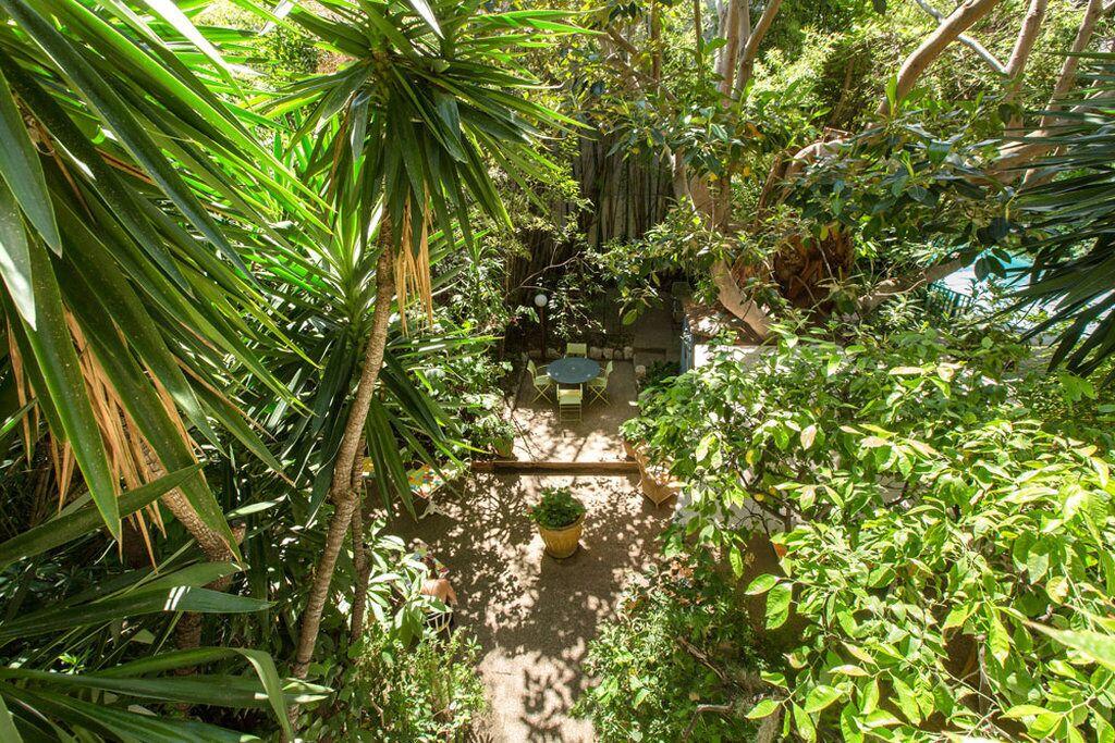 Le Windsor, Jungle Art 4*