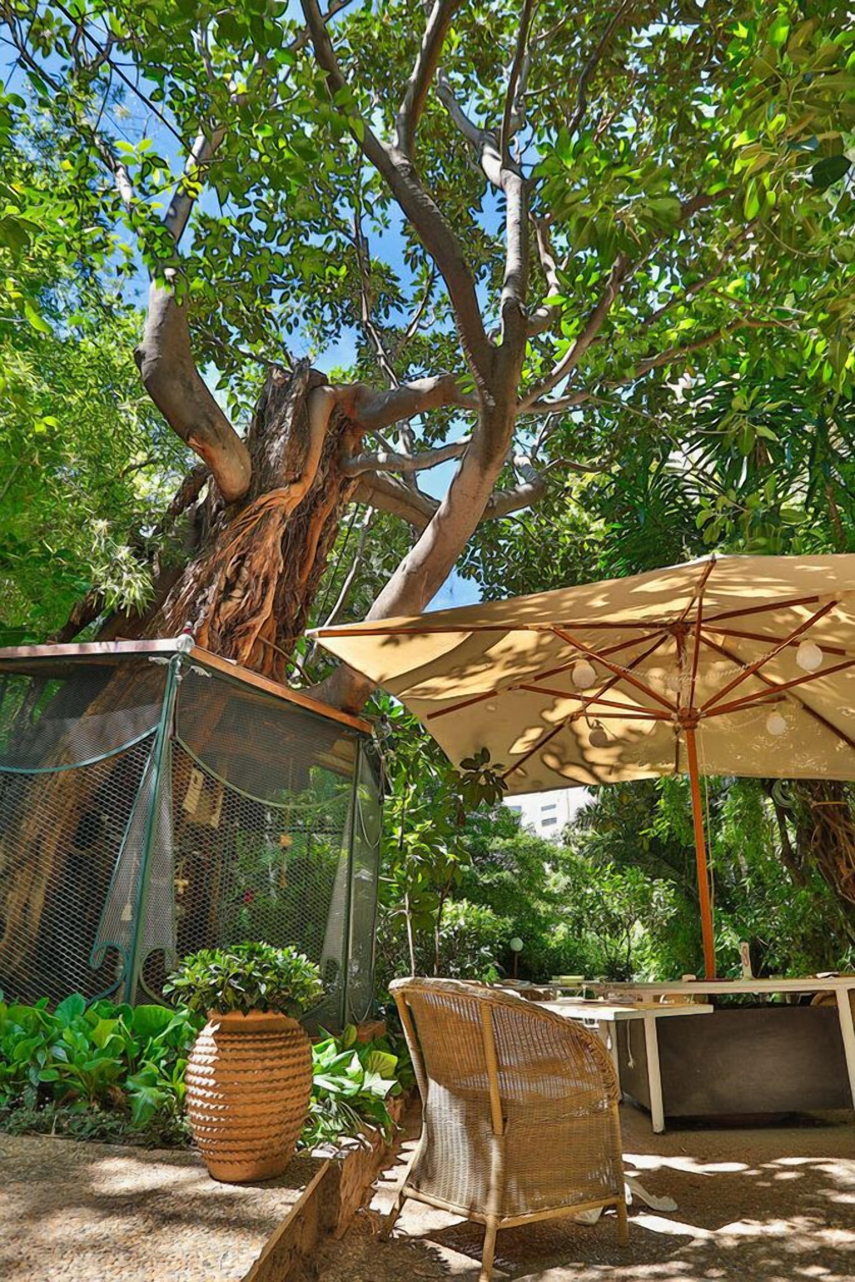 Le Windsor, Jungle Art Hotel 4*