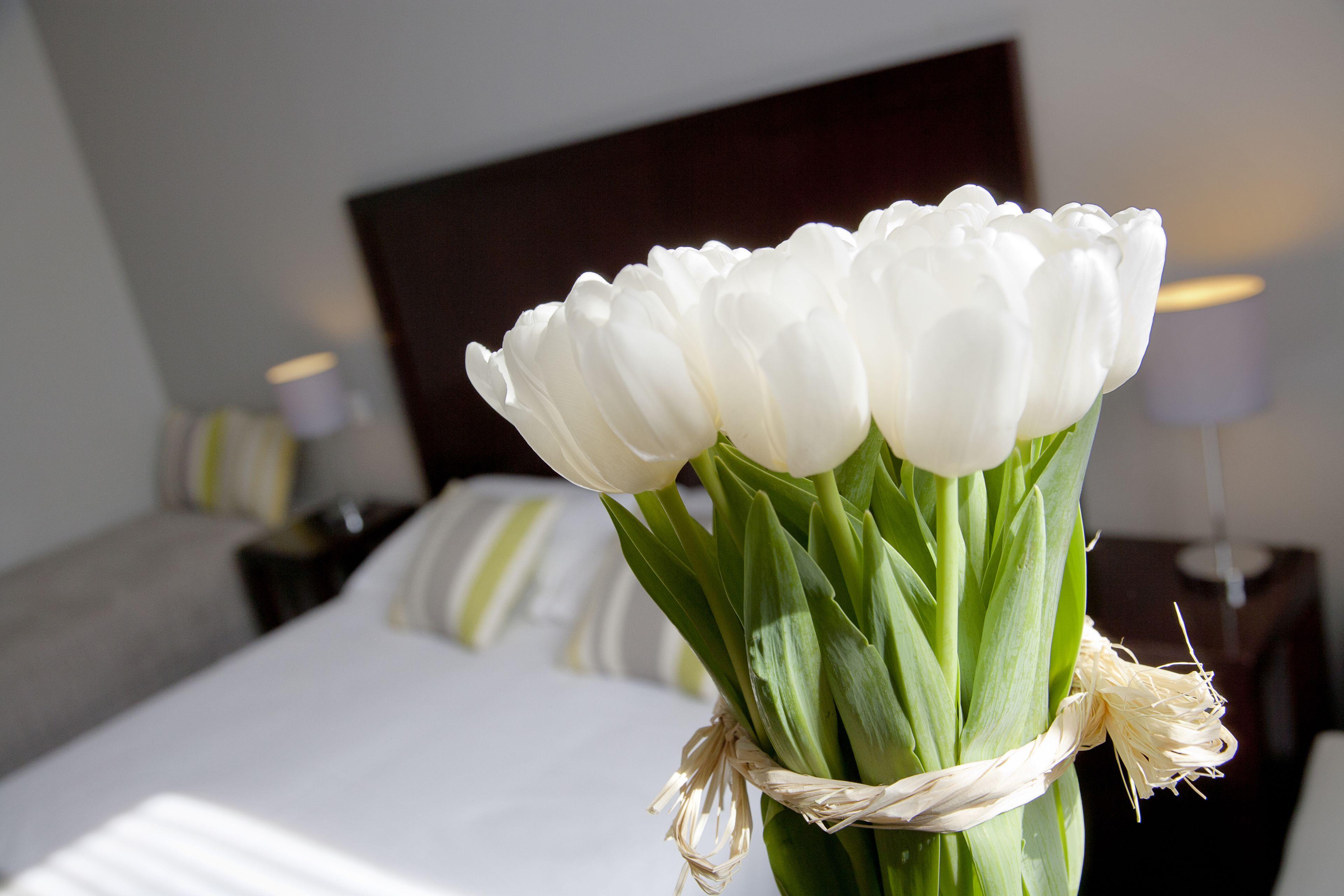 Relais Acropolis 3* Nice
