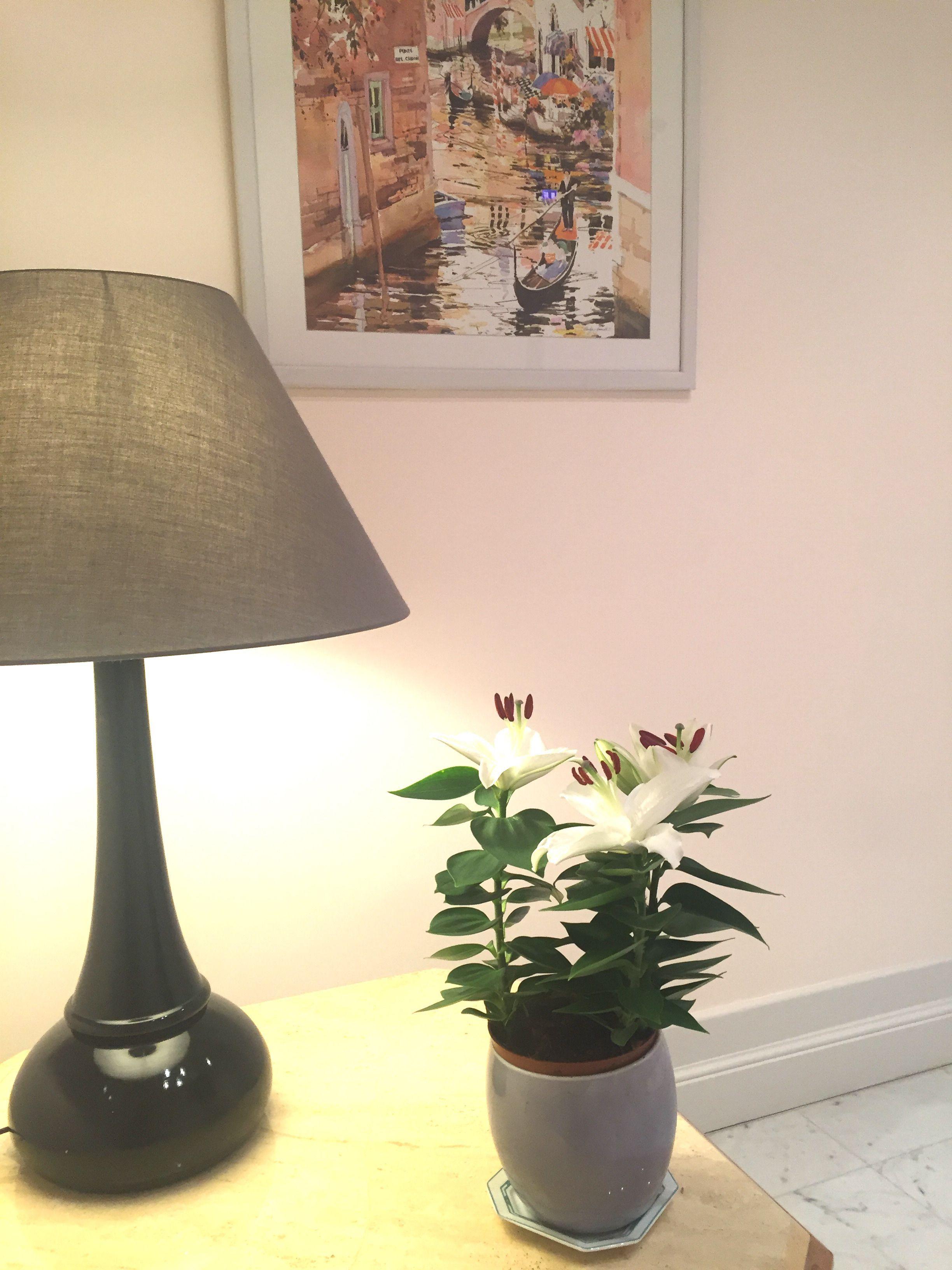 Maison Lamartine - Aparthotel 4*