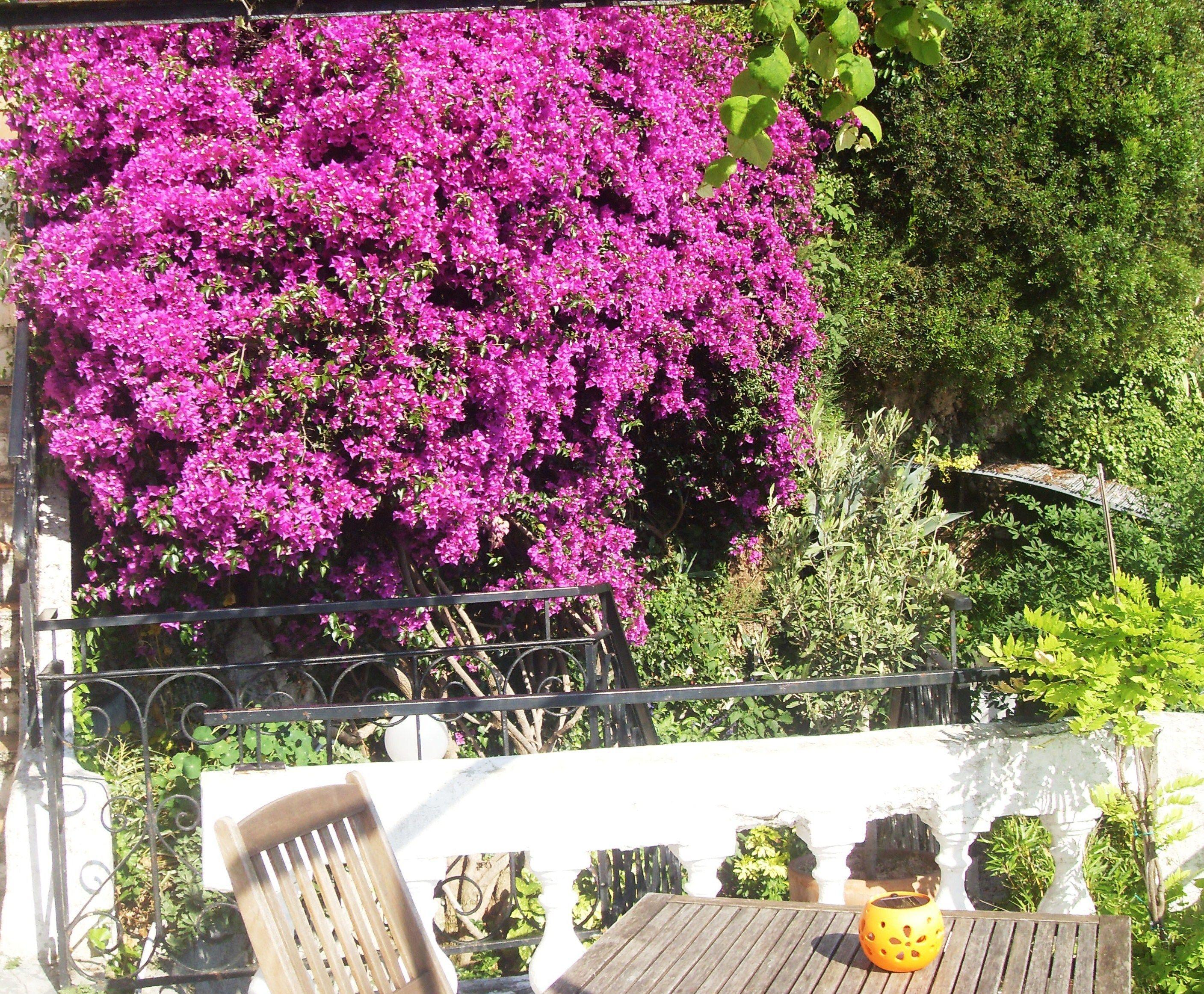 Hotel Le Panoramic Boutique