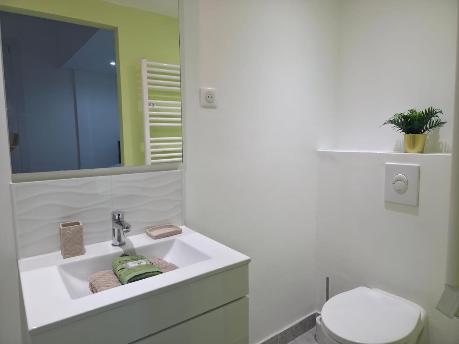 Le Virenque Apartment Nice