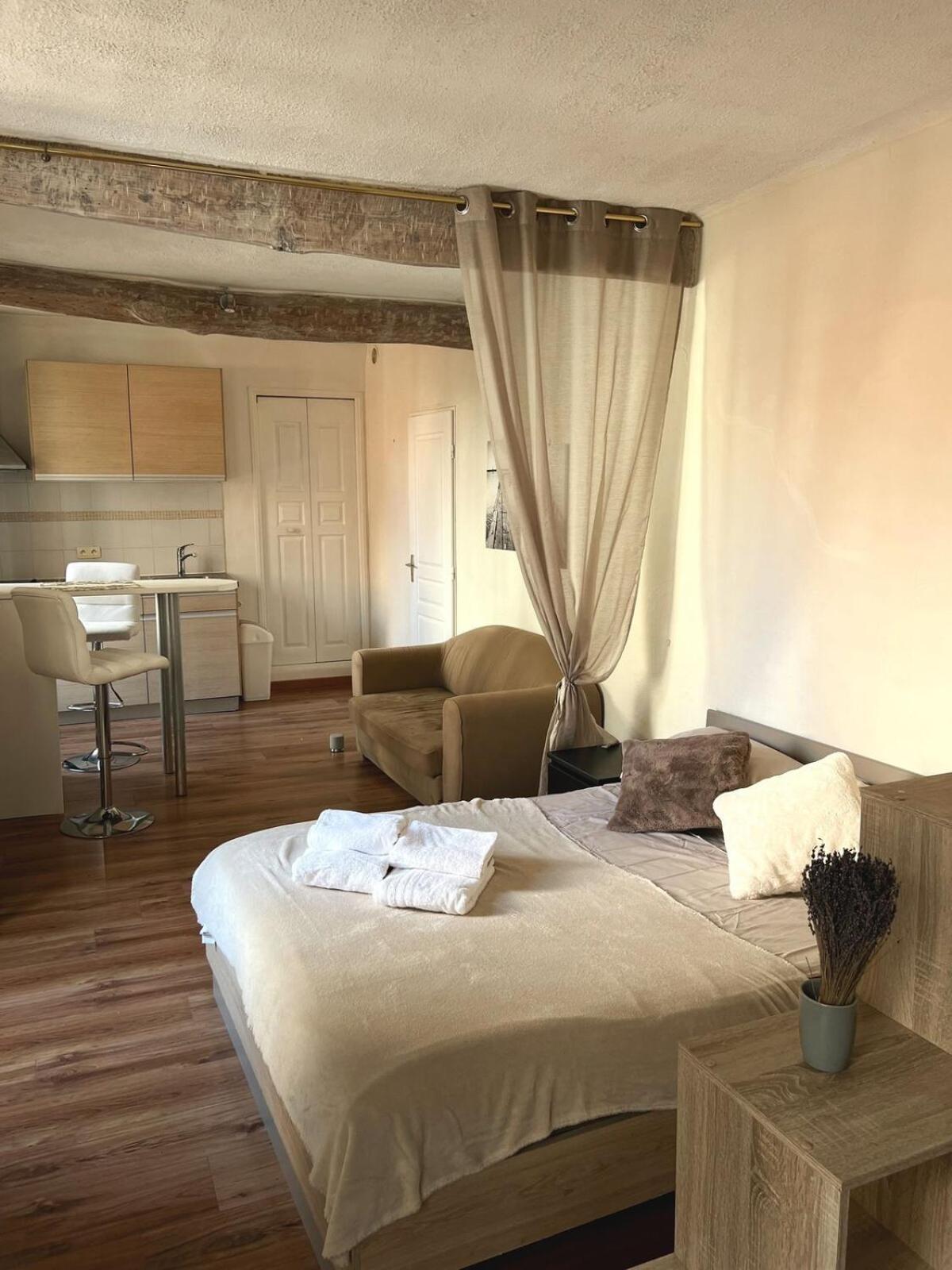 Petit Palmier Promenade Apartment Nice