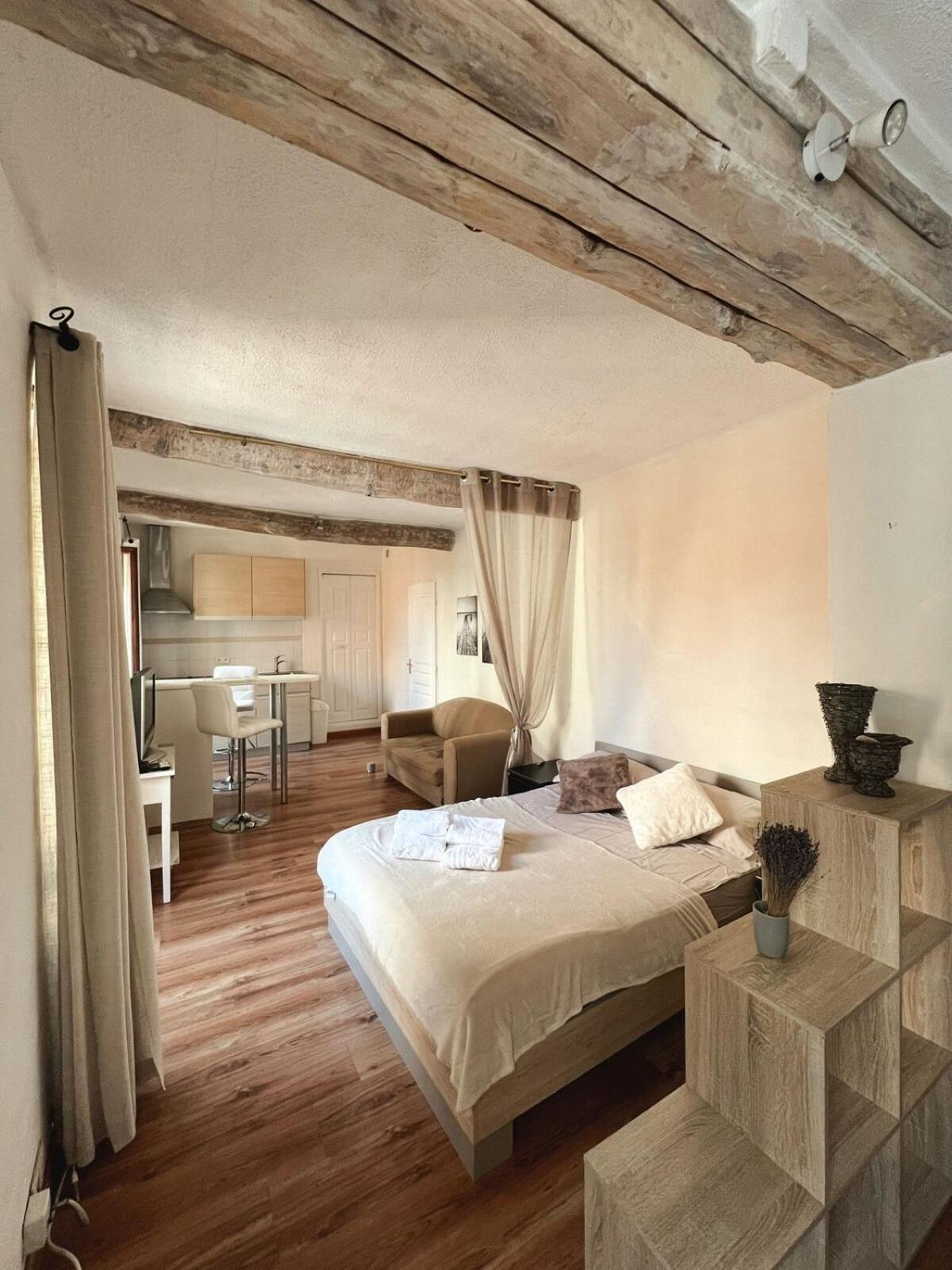 Petit Palmier Promenade Apartment Nice