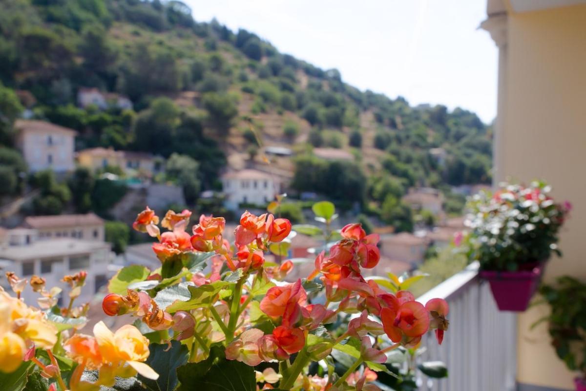 Luxueux Entier 3 Nice