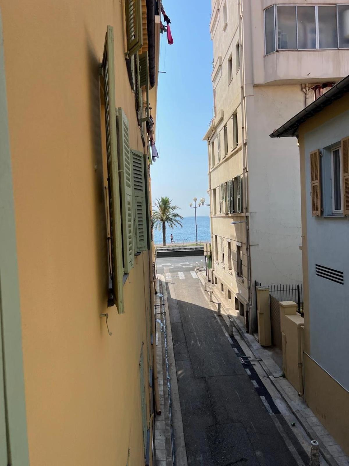 Petit Palmier Promenade