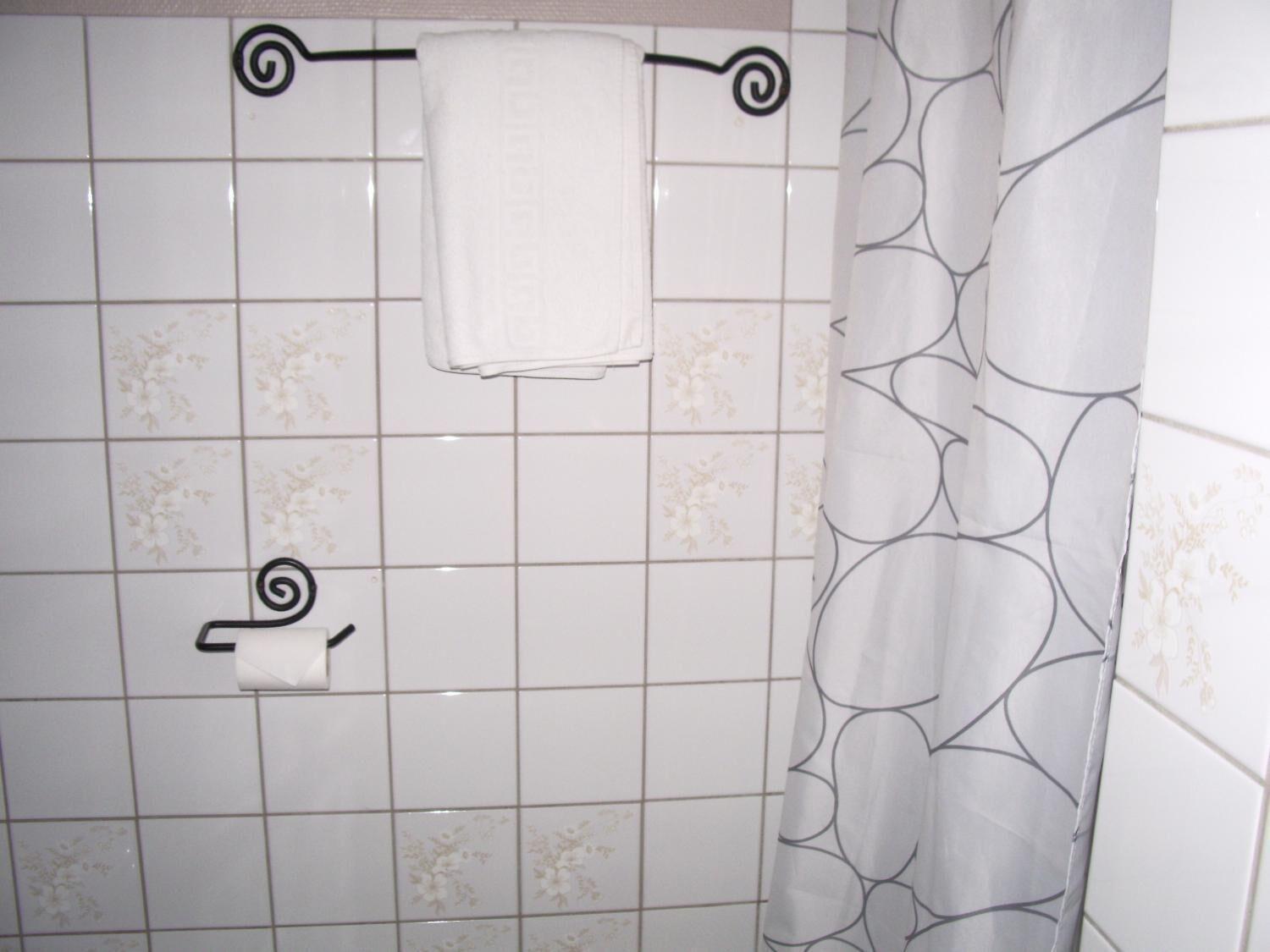Saint Hubert Hotel 3*