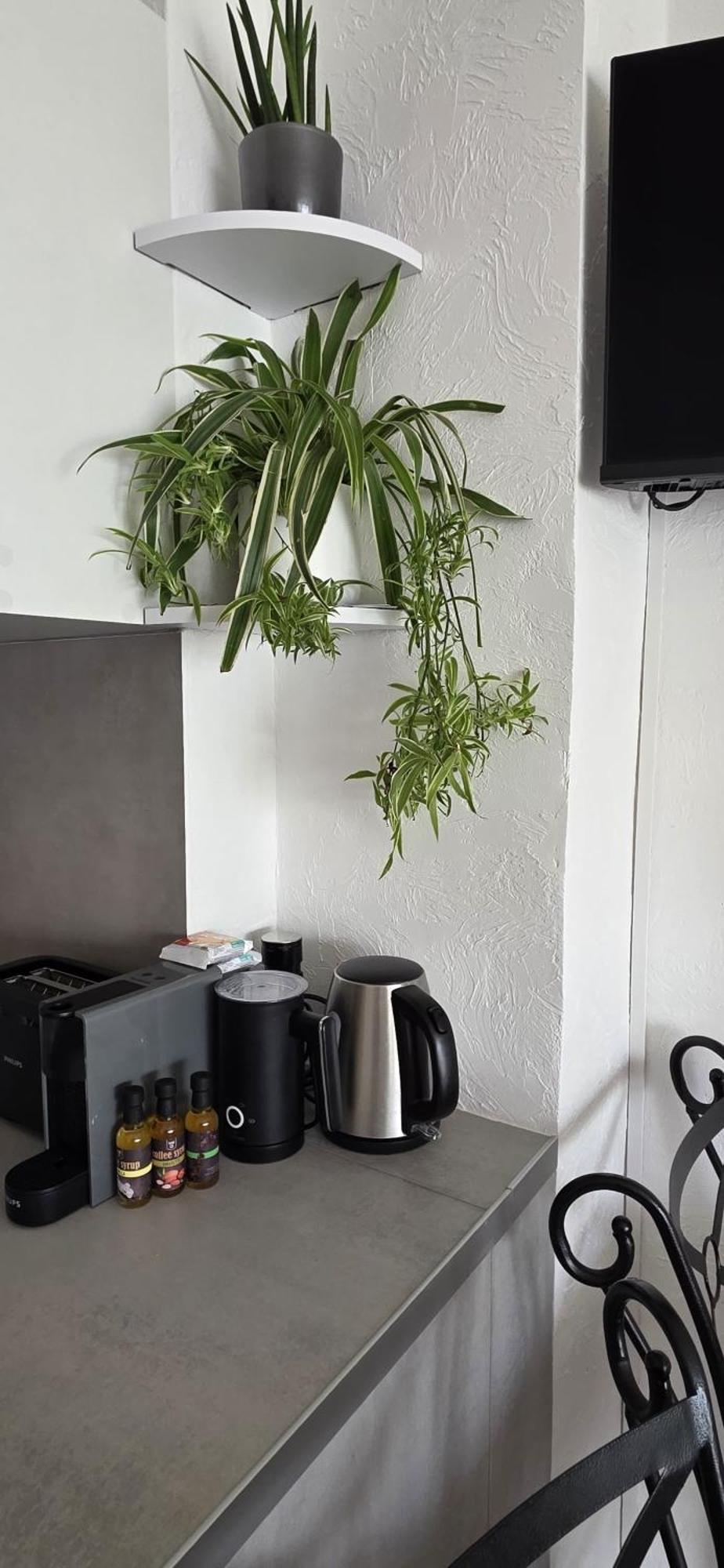 Luxe Apartements Azur Nice