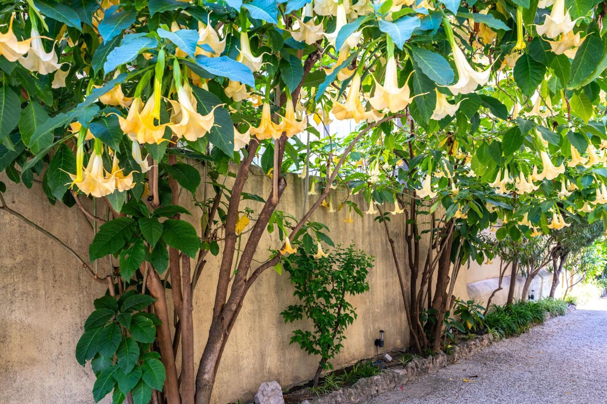 Original Coeur De -ac- Apartment *