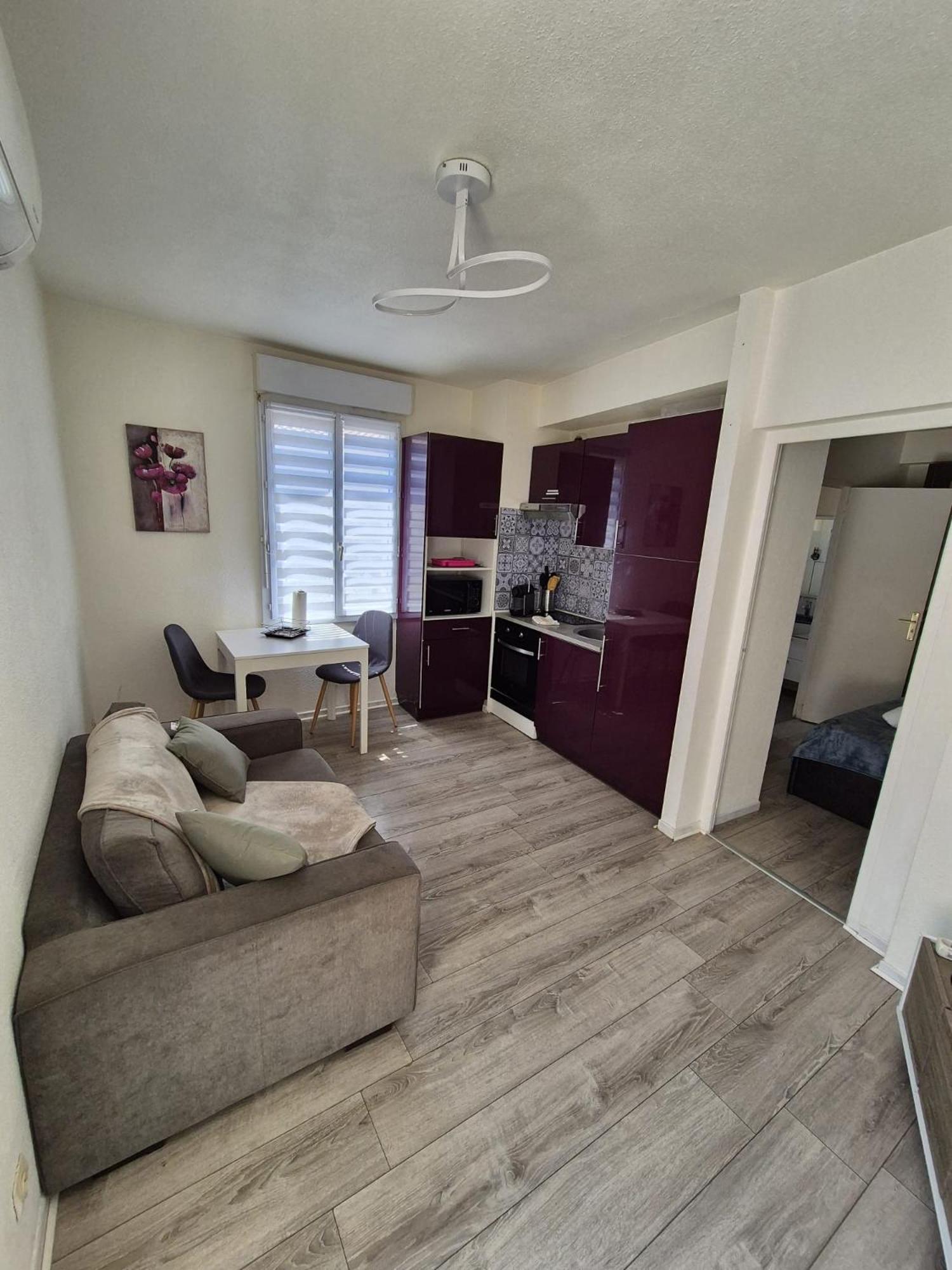 Plein Centre Climatise Et Spacieux Avec Grande Terrasse Sur Le Toit A