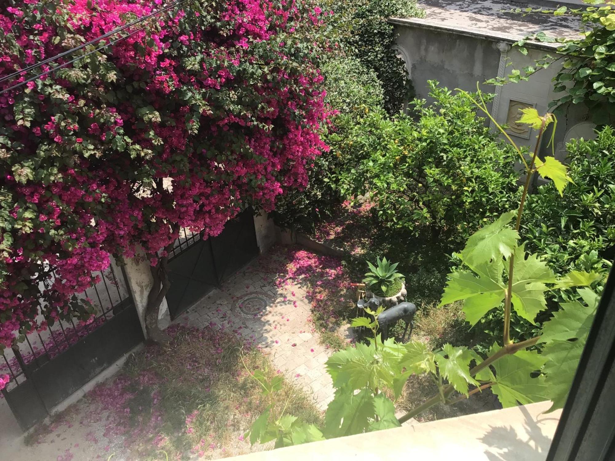 Apartment Confort Avec Terrasse *