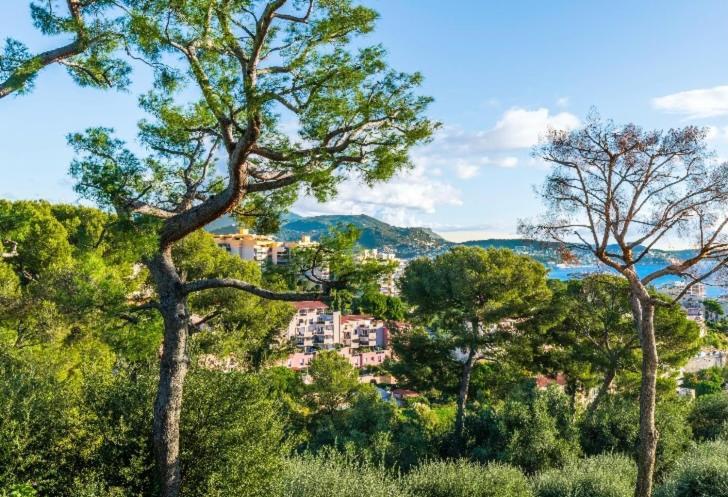 Absea Belles Terres Nice