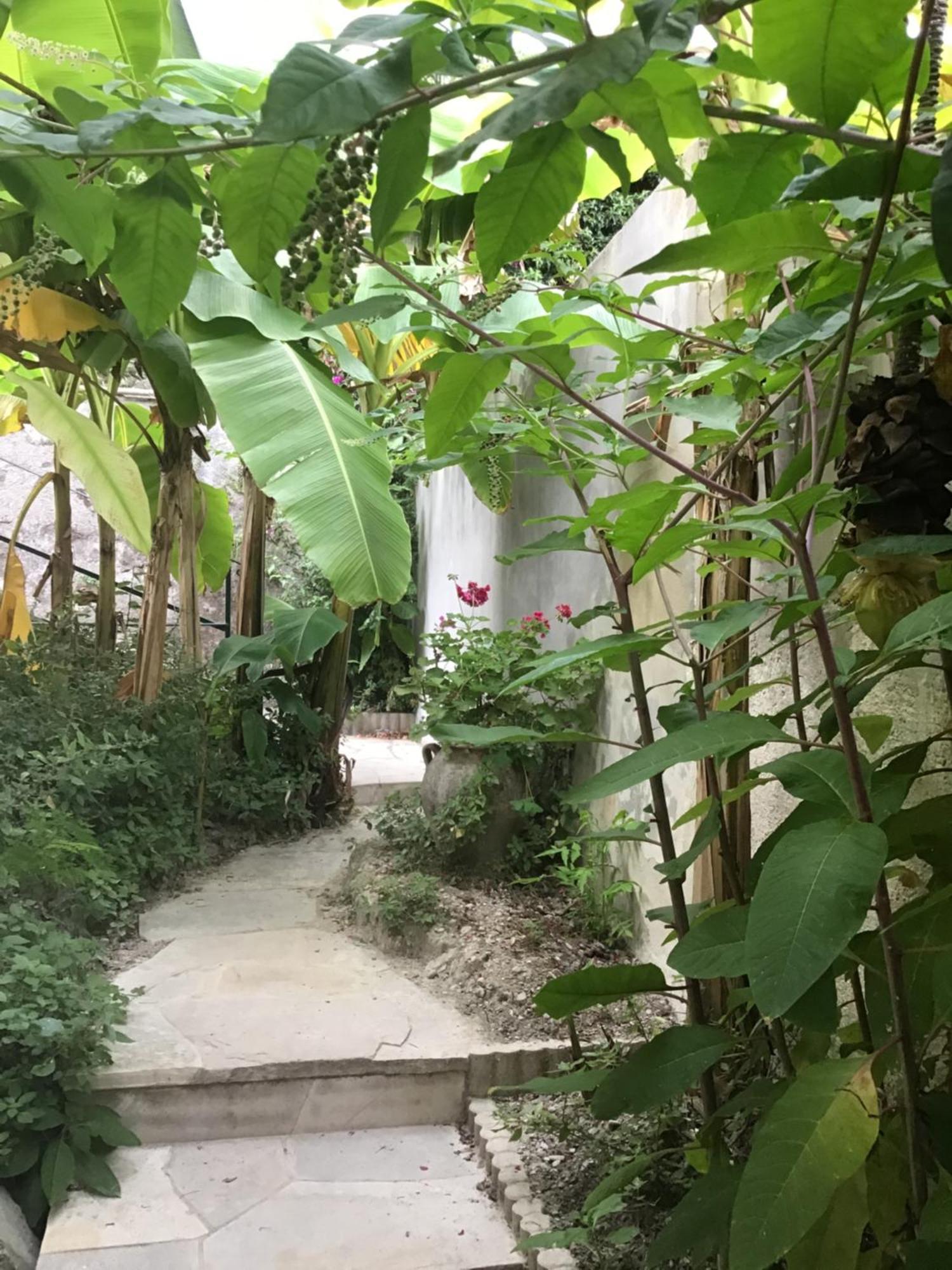 Confort Avec Terrasse Apartment Nice