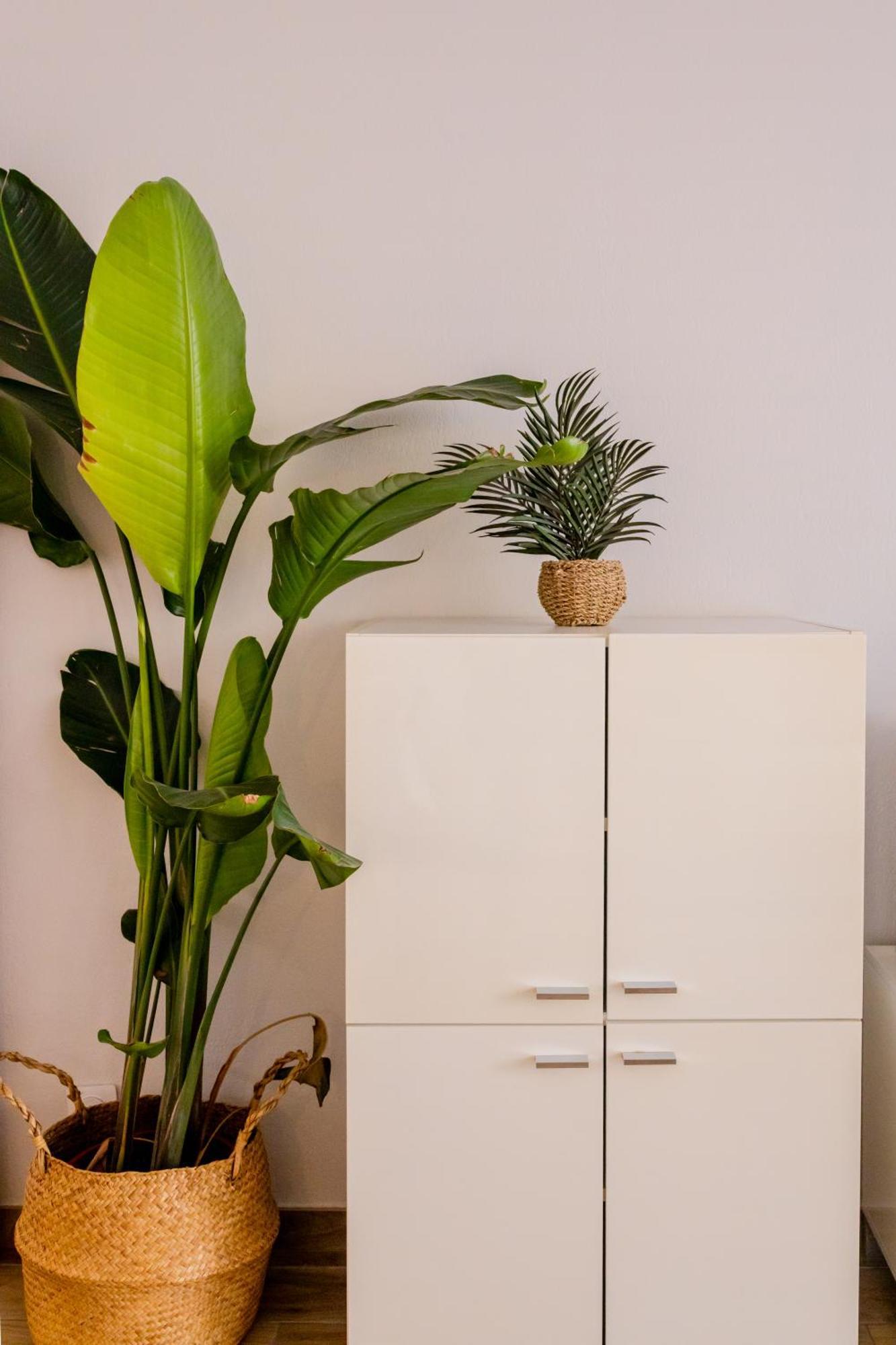 Peaceful In With Terrace, Parking