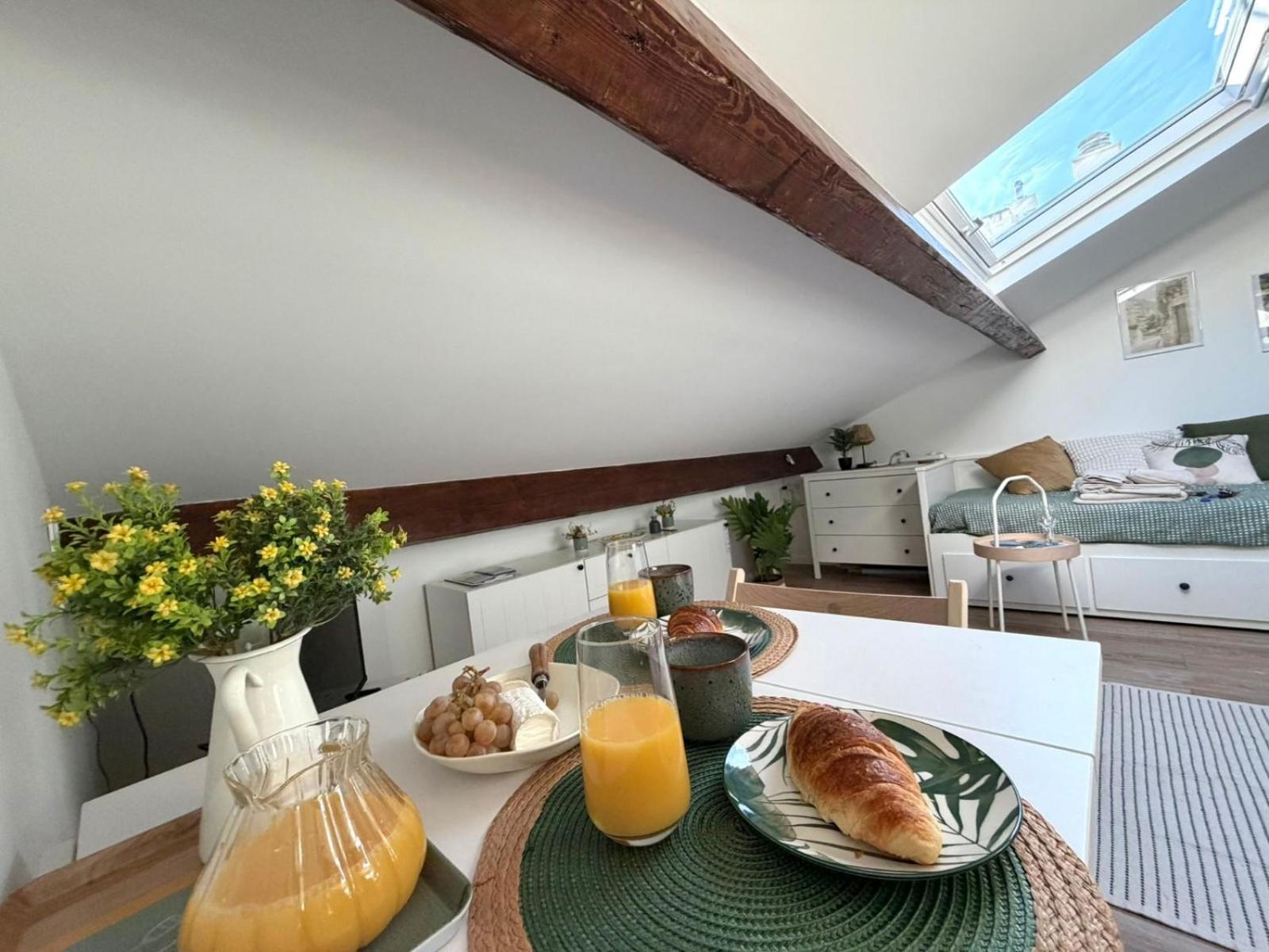 Le Petit Nid Sous Le Toit Apartment