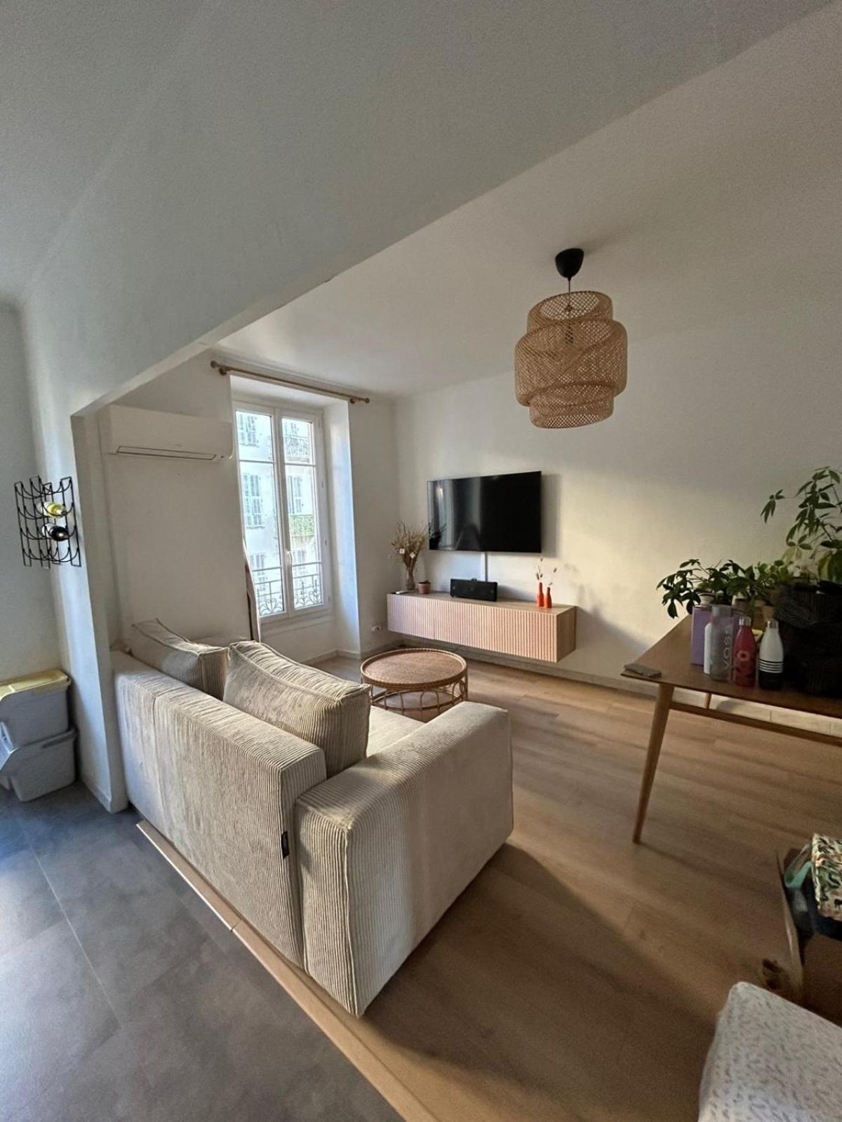 Charming Bright In Apartment Nice