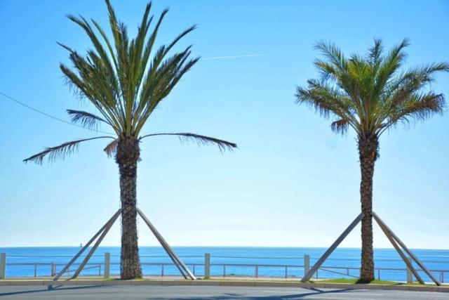 La Vague Douce * Nice