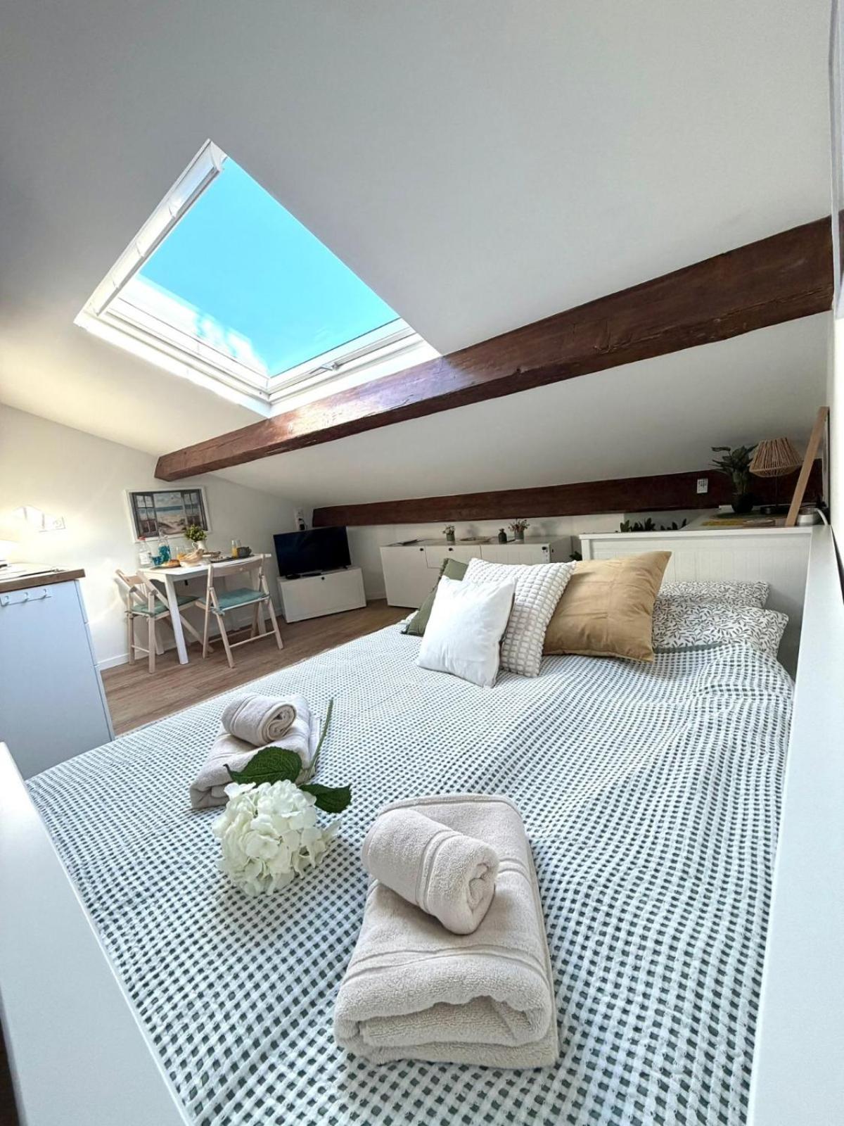 Apartment Le Petit Nid Sous Le Toit Nice