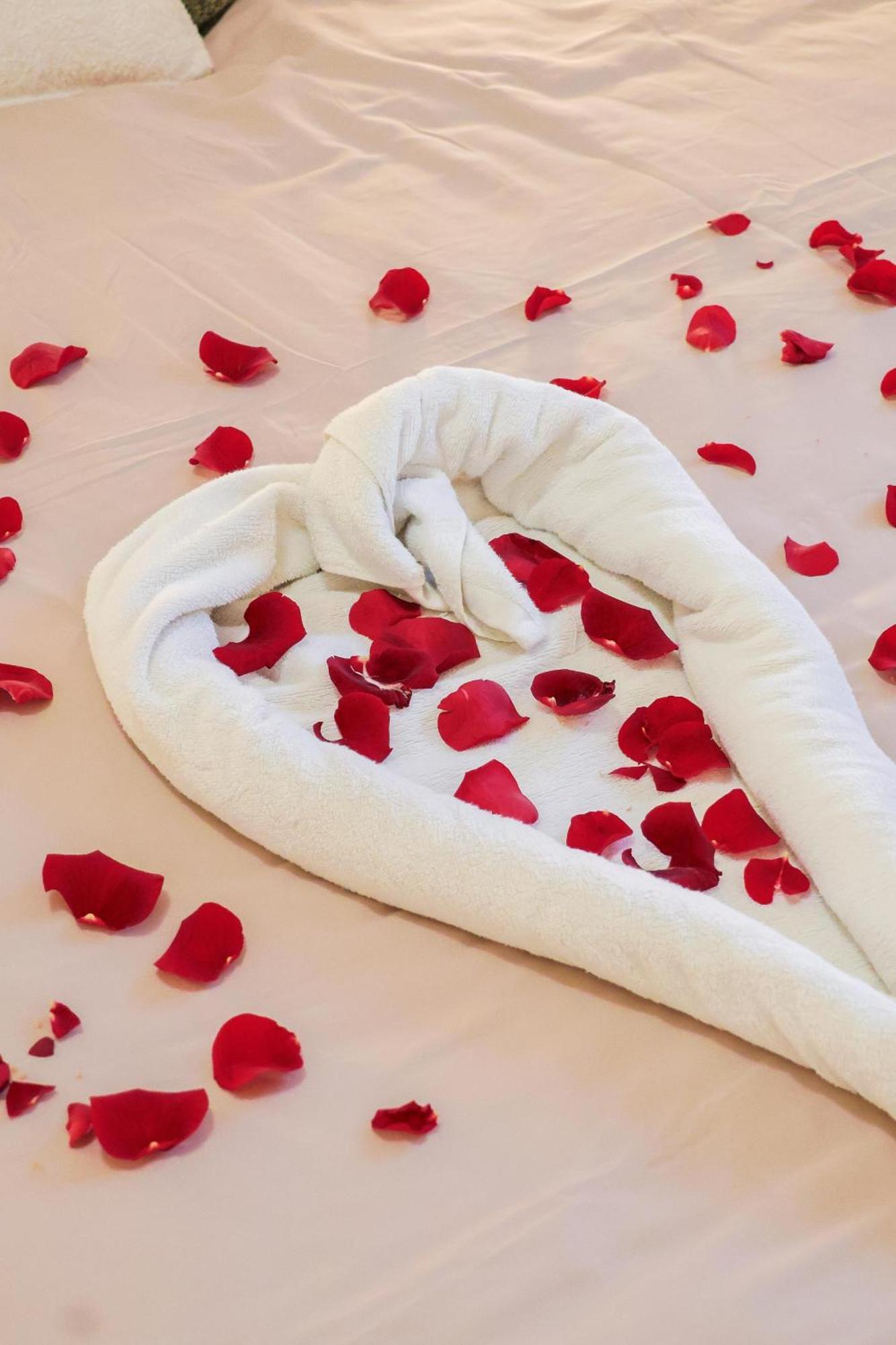 Superbe T3 Confort A Deux Pas Du Tram Et Des Plages Apartment