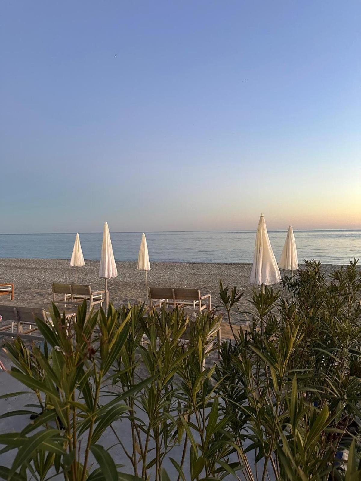 Neuf Carre Or A 2 Pas De La Equipe Apartment