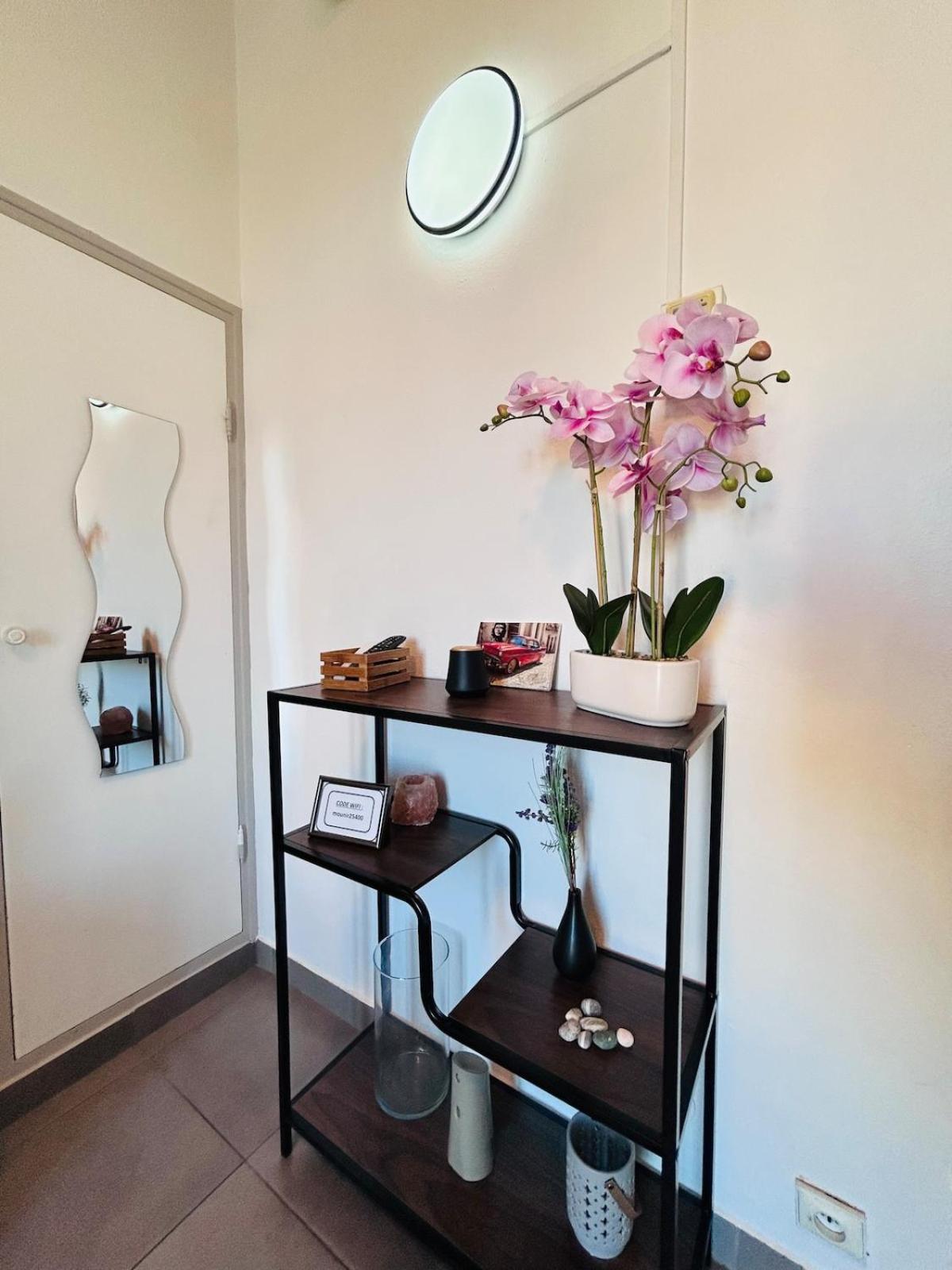 Rénové Et Meublé Le Cœur De à Vos Pieds Appartement *