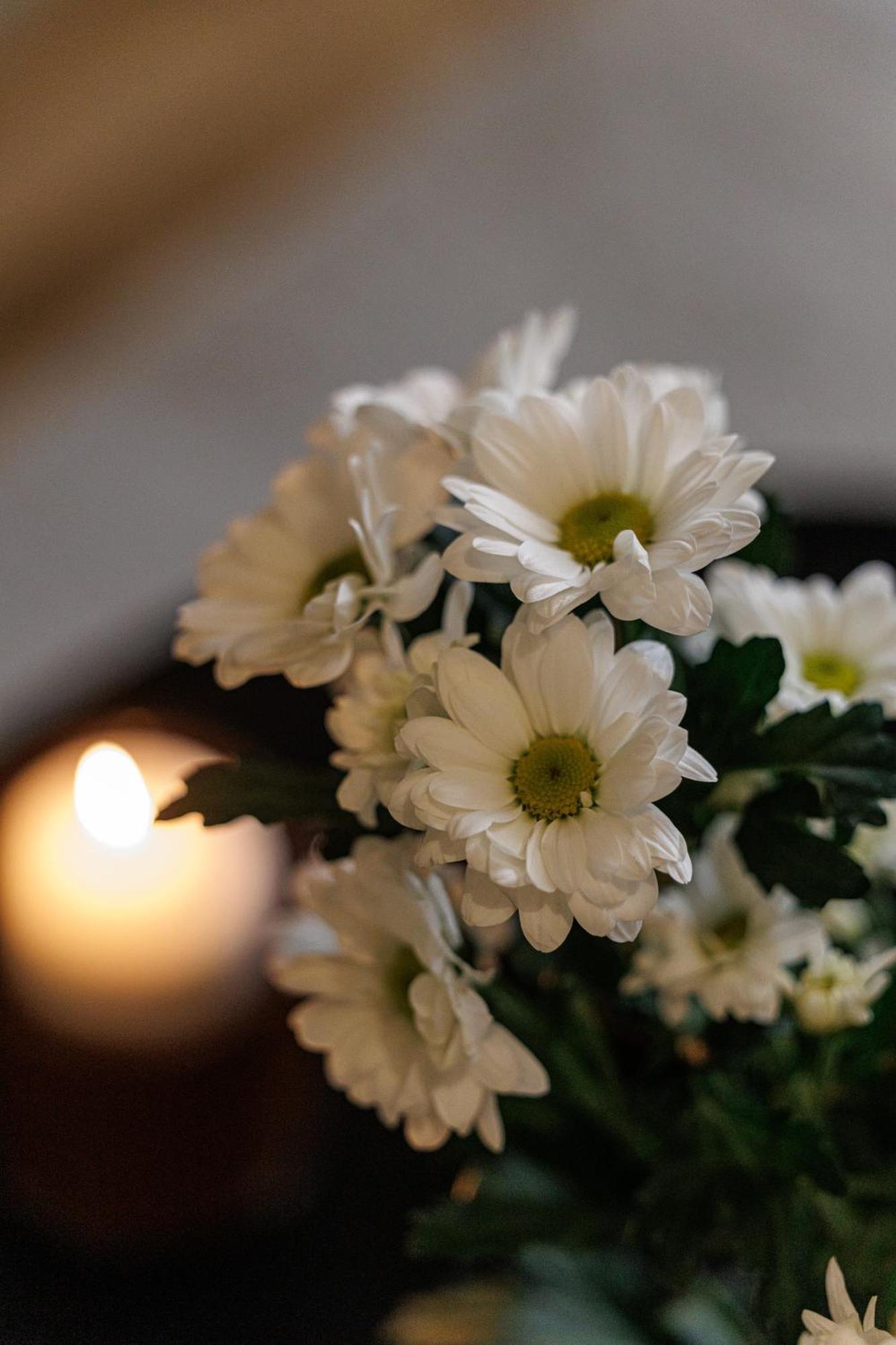 Apartment Wonderful Close To Garibaldi - Aircon *