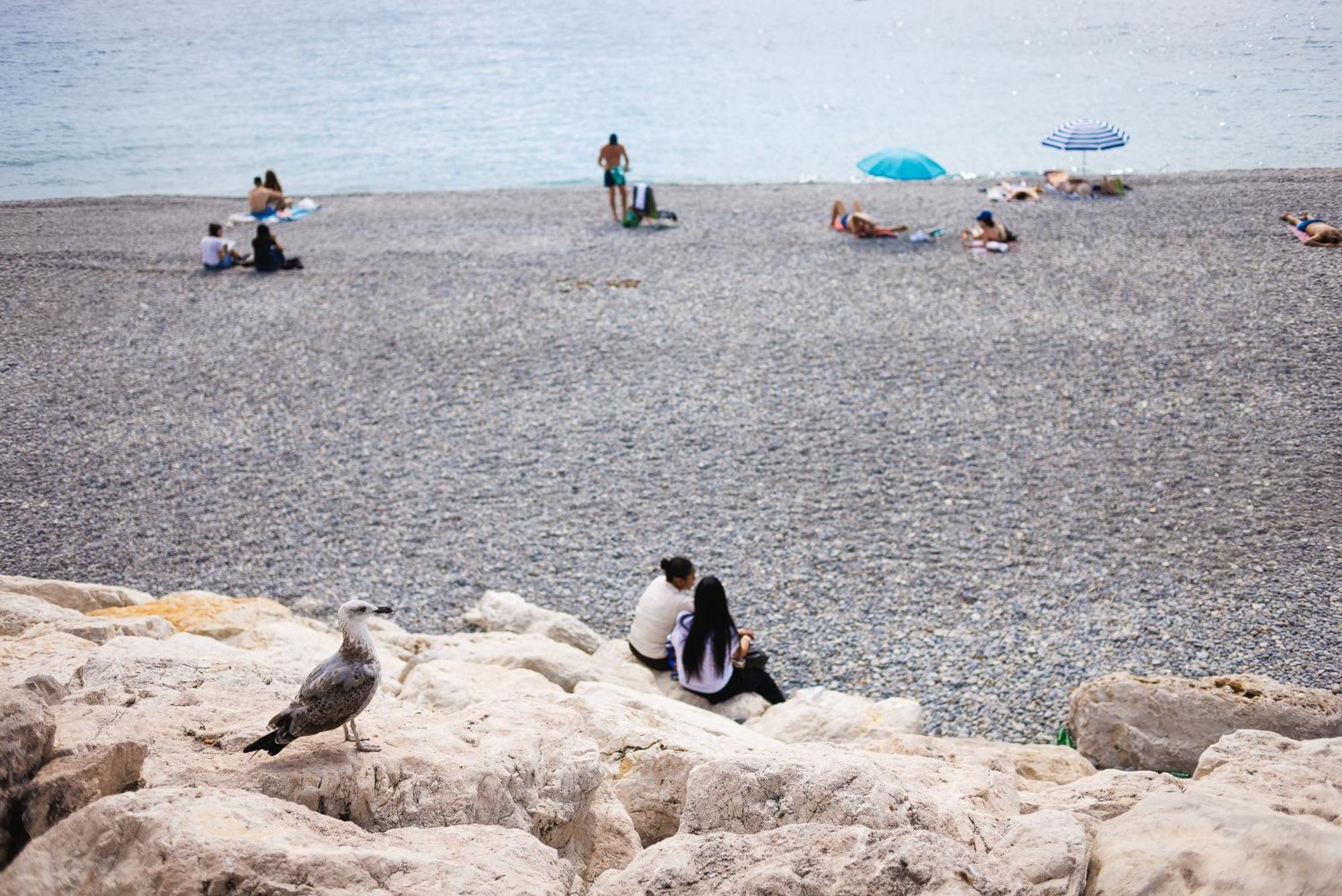 Cosy Promenade Des Parking Apartment *