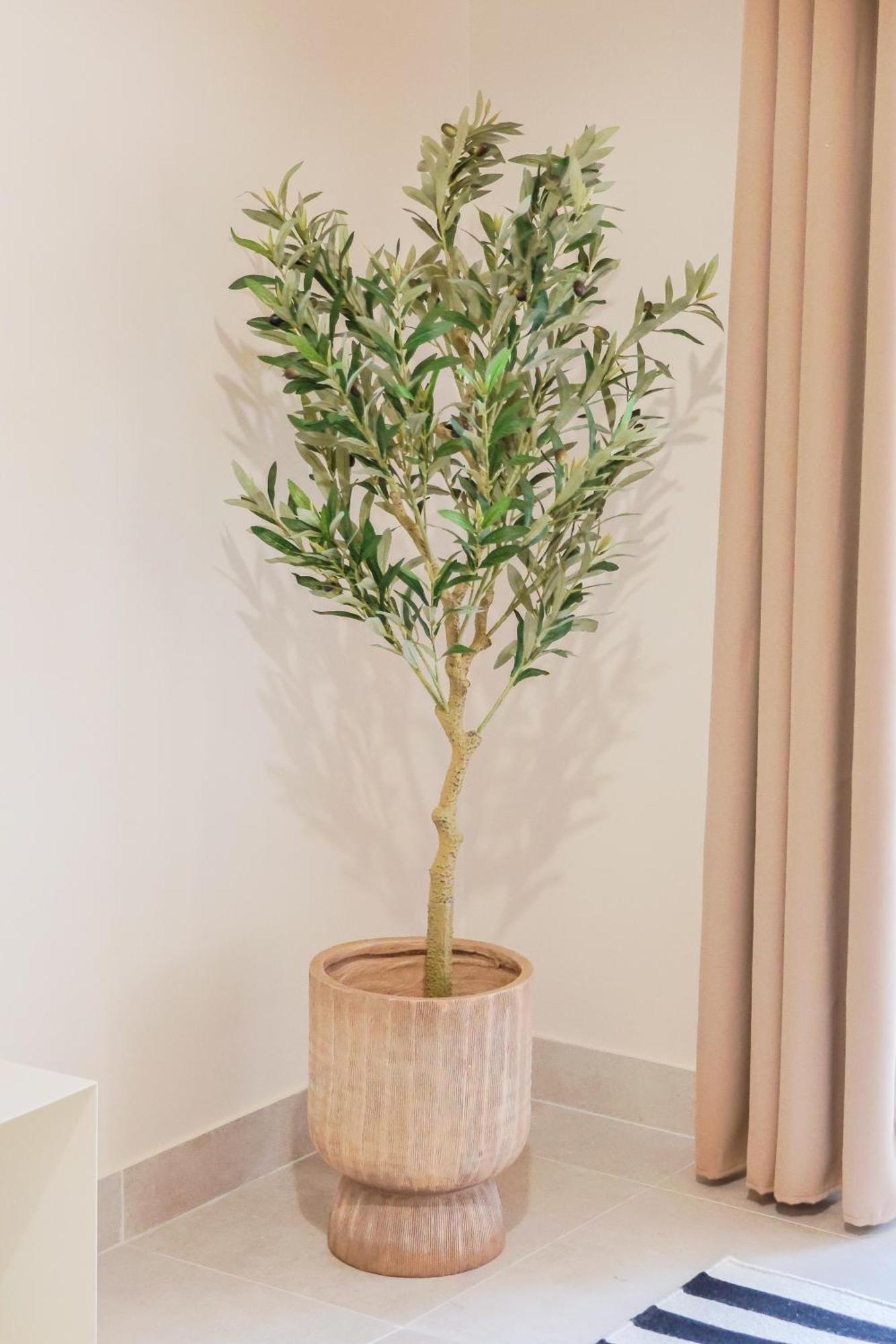 Superbe T3 Confort A Deux Pas Du Tram Et Des Plages Apartment *