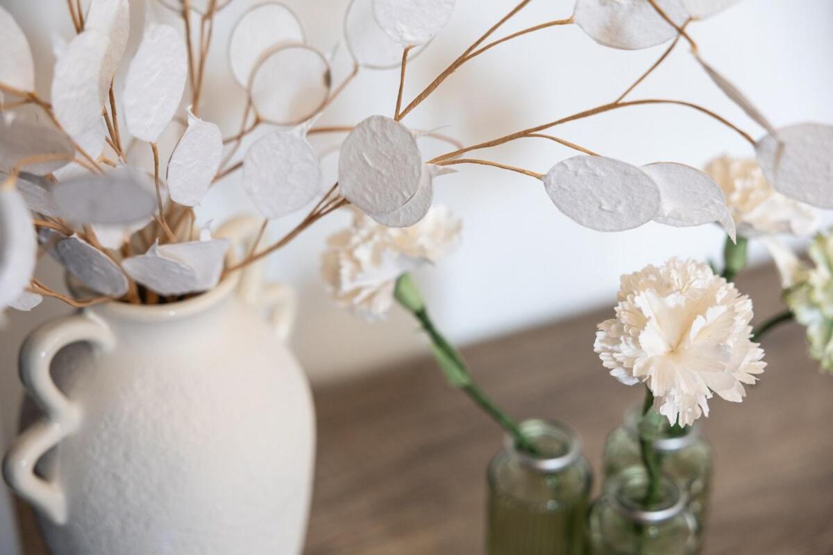 Apartment Cocon Design Au Port Emplacement D Exception