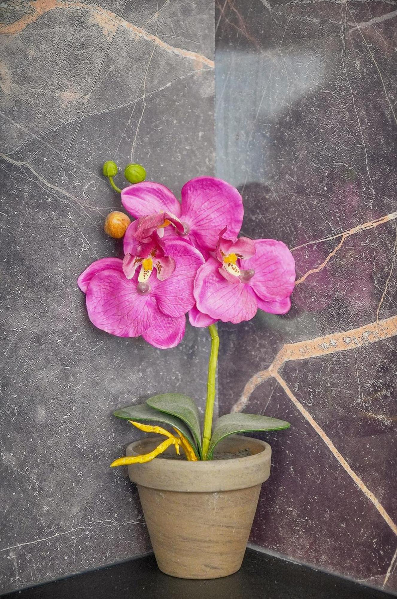 Frgk Massenet 'blue Riviera' Modern Comfort 1 Min From Promenade Des Apartment