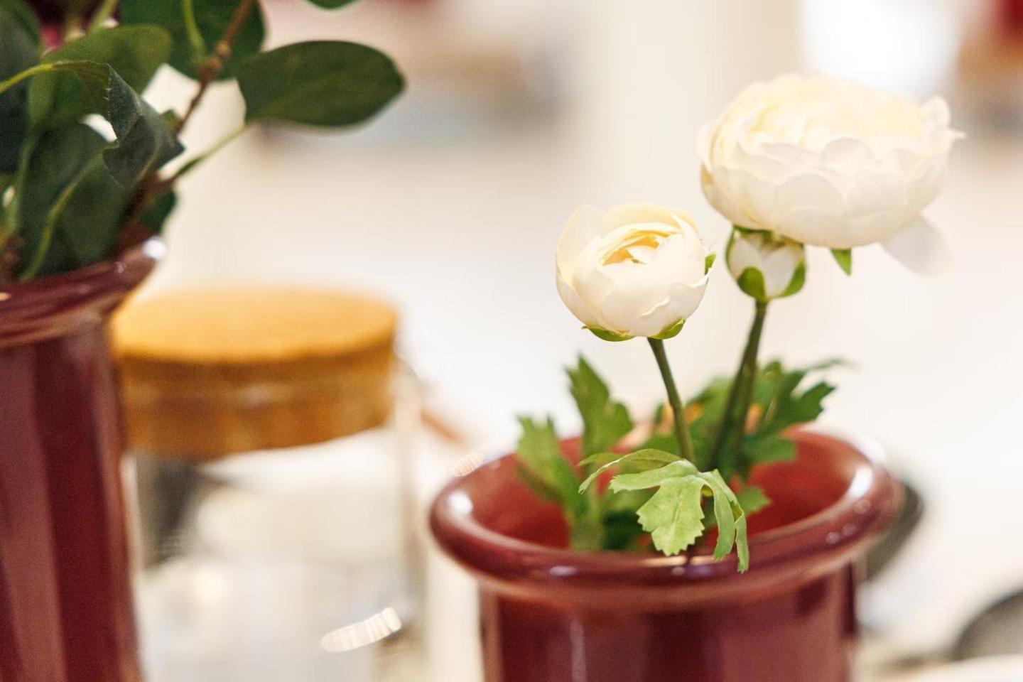 Ambiance Douce Et Elegante A Liberation Nice