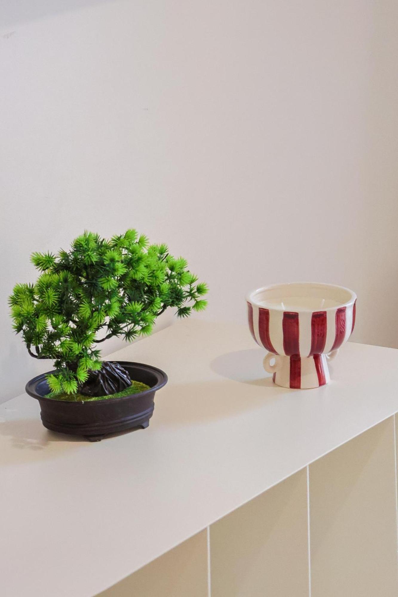 Superbe T3 Confort A Deux Pas Du Tram Et Des Plages *