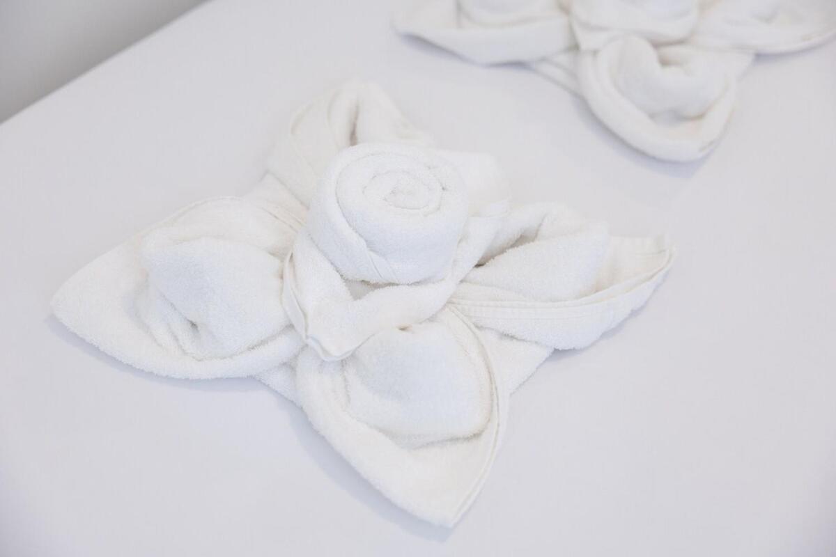 Apartment Spacieux & Lumineux Garibaldi