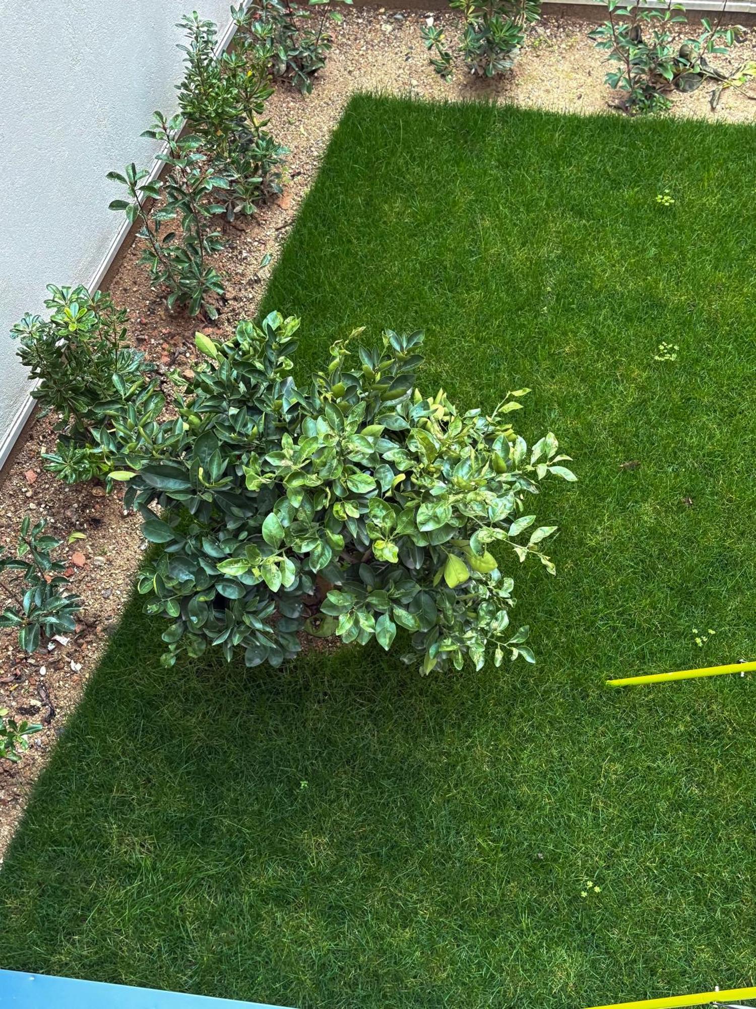 Apartment Aya - Renovated Air-conditioned Duplex With Garden *