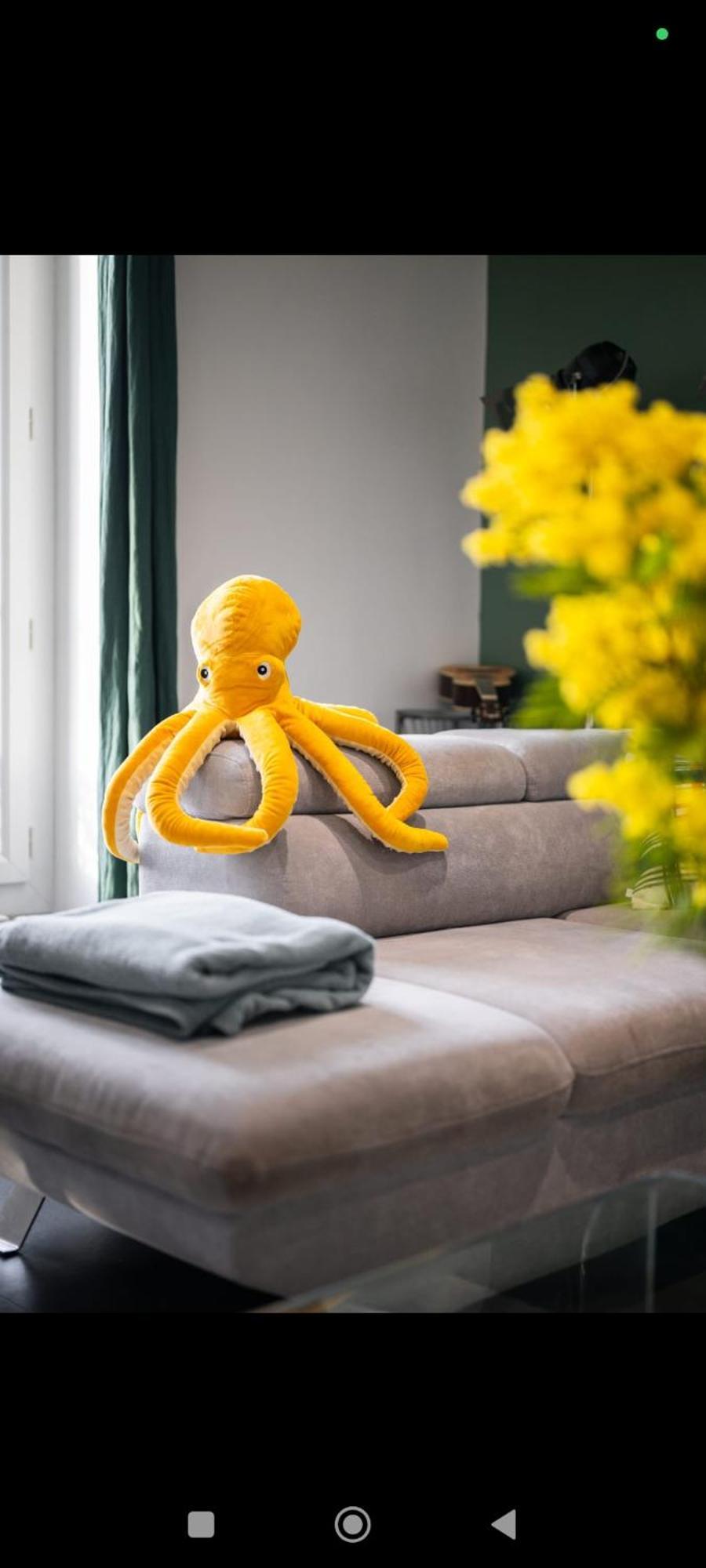 Super Au Coeur De Nice! Bonnes Nice