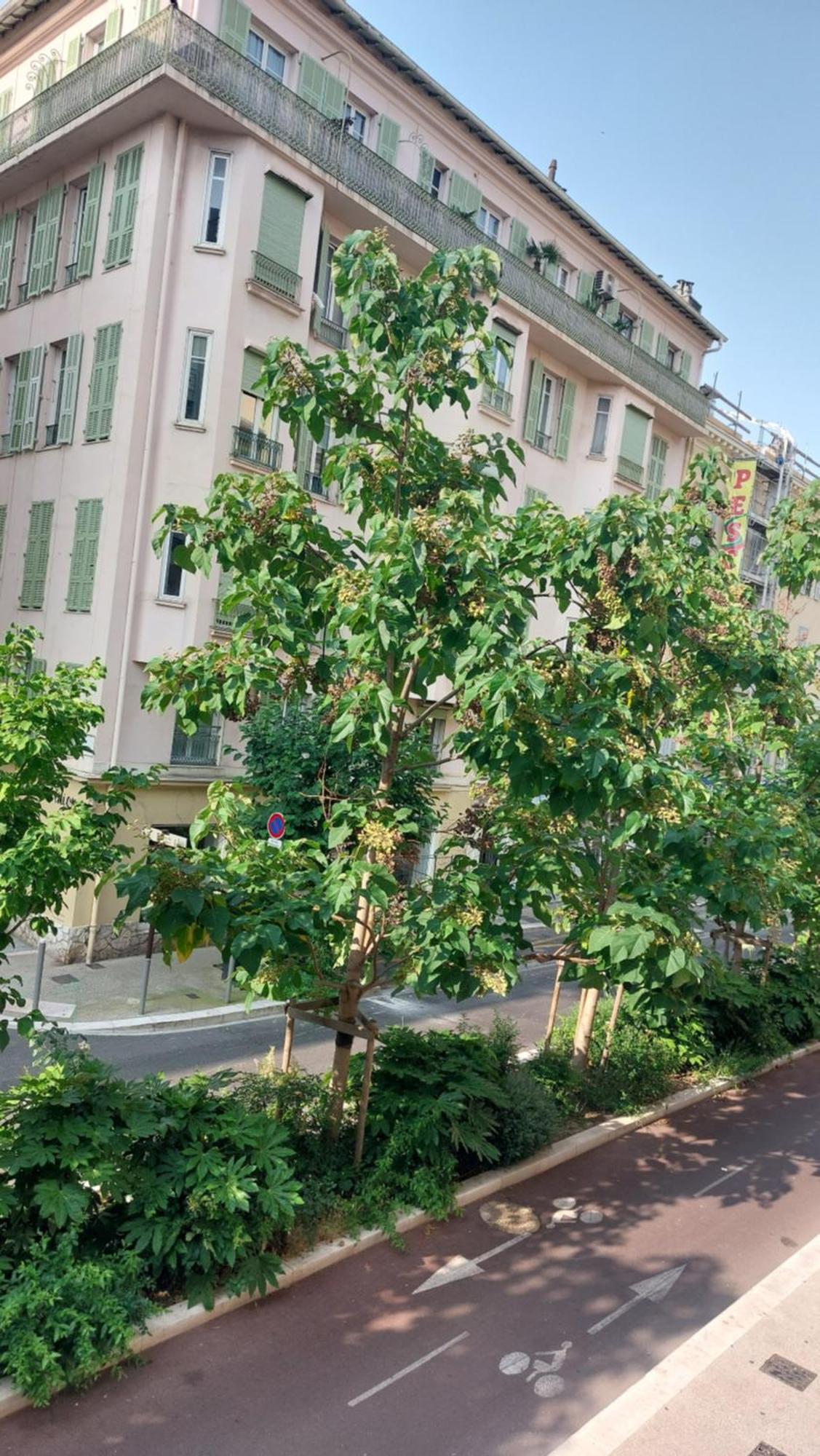 - Duplex Carré D'or - 100m Promenade Des Appartement