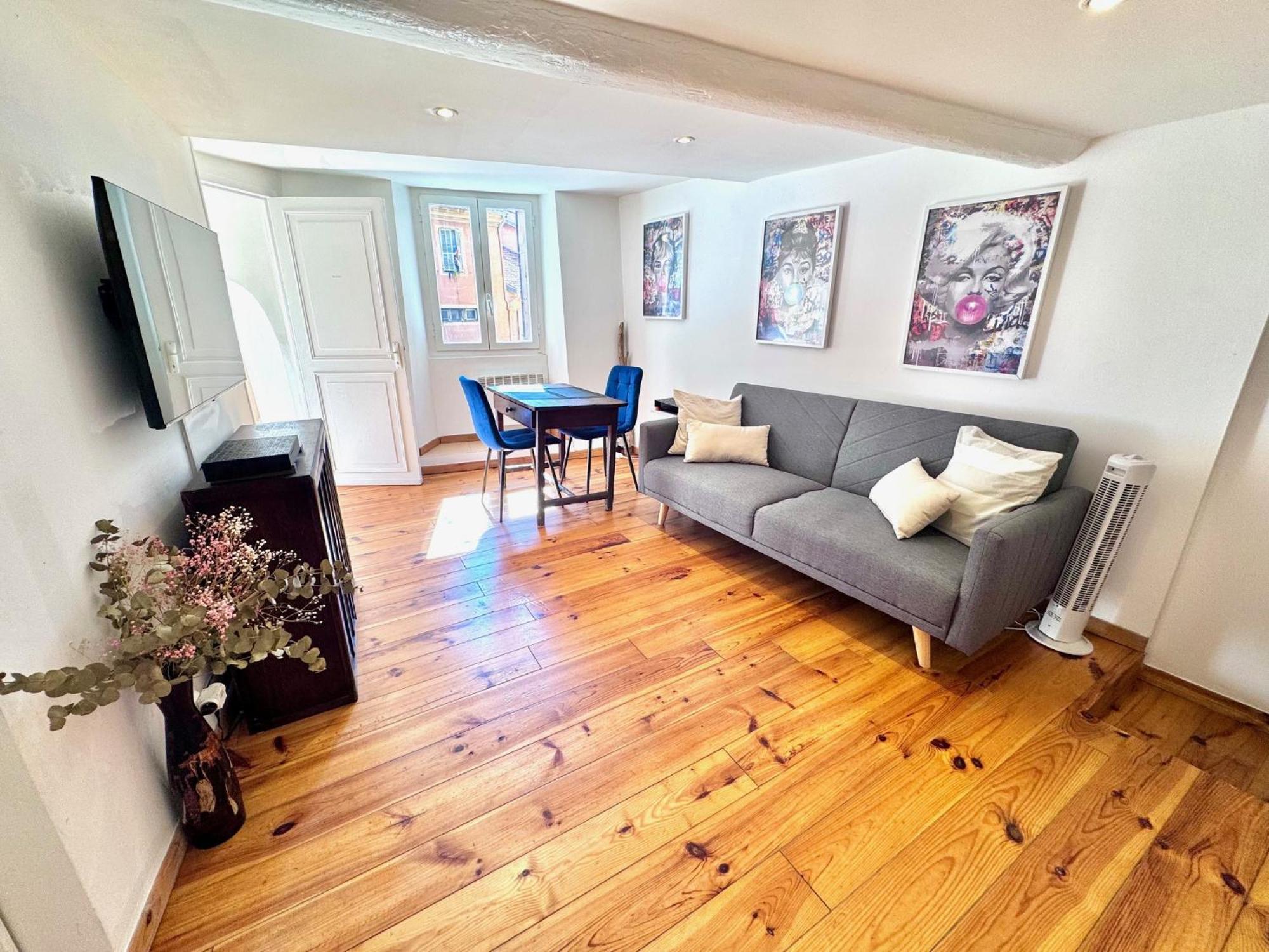 A Ot Cocon Du Senat 2 - Old Town Promenade Des Ang Apartment Nice