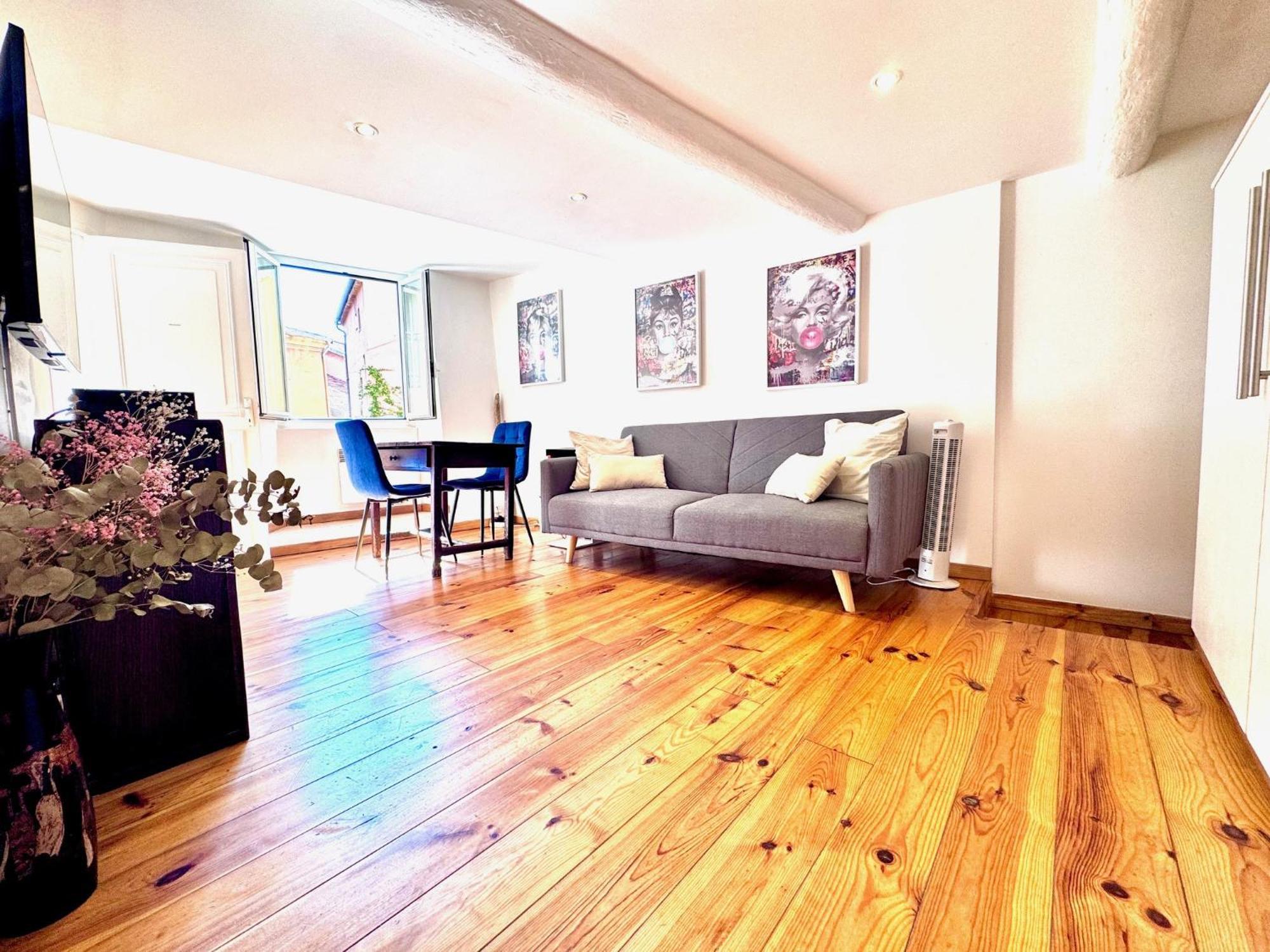 Apartment A Ot Cocon Du Senat 2 - Old Town Promenade Des Ang