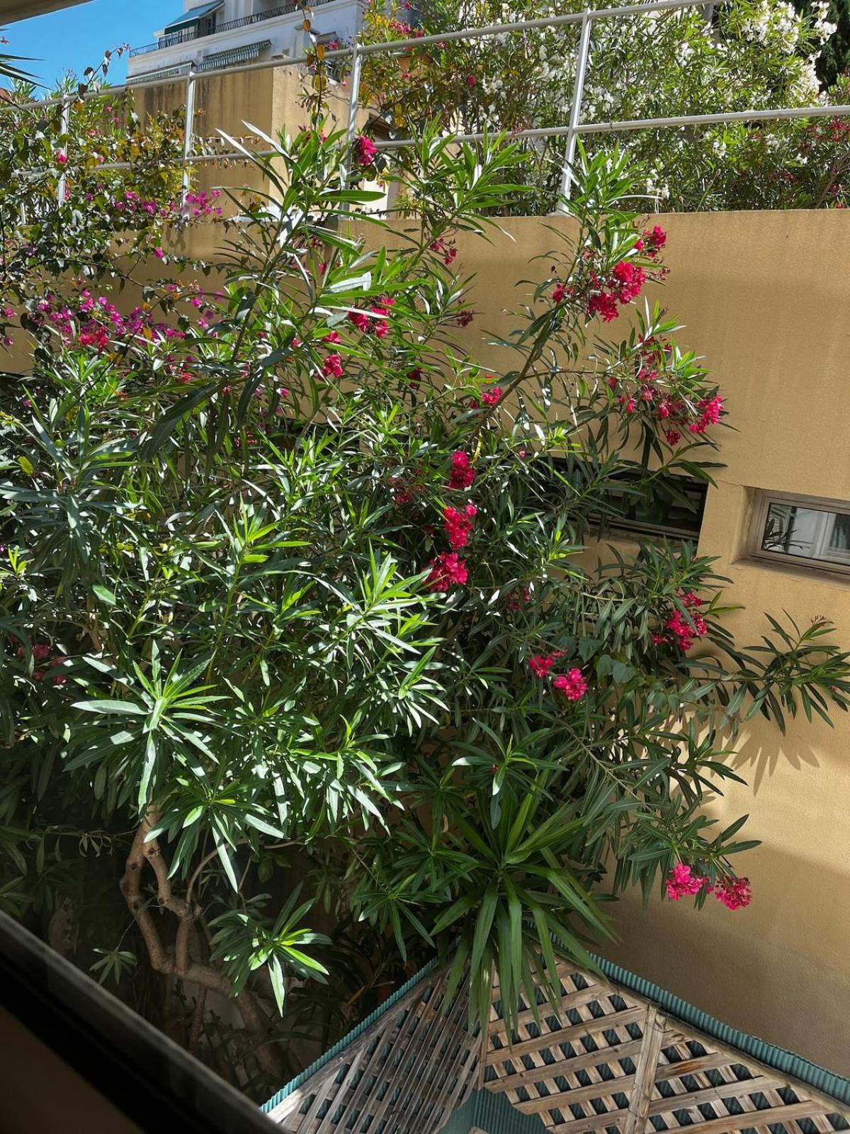 Superbe 2 Pieces Bord De Apartment