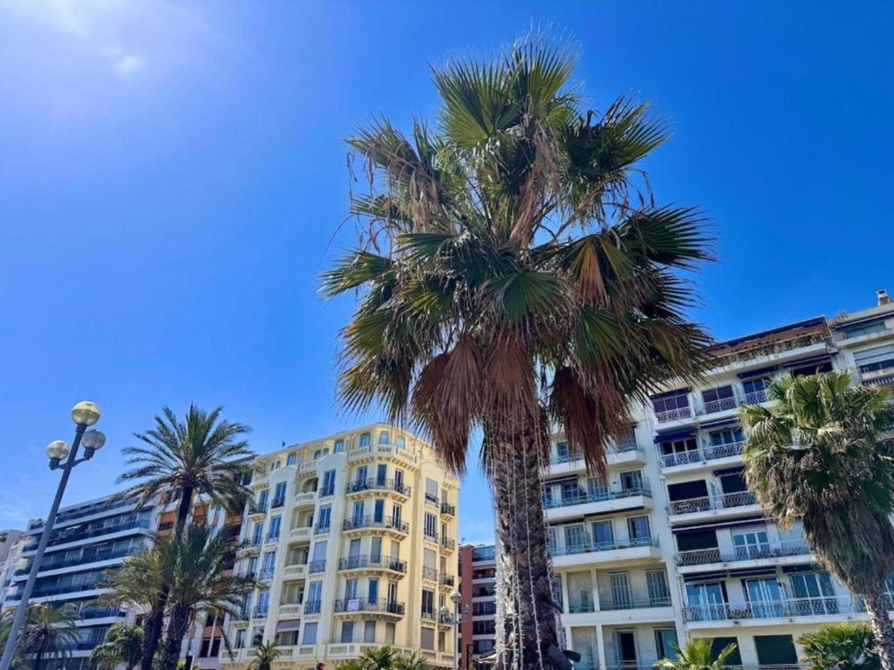 Loft - Tram - Promenade Des - Airport *