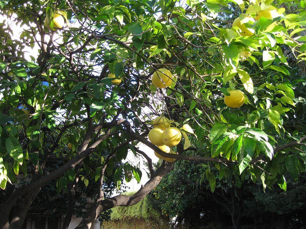 La Malouine Hotel Nice