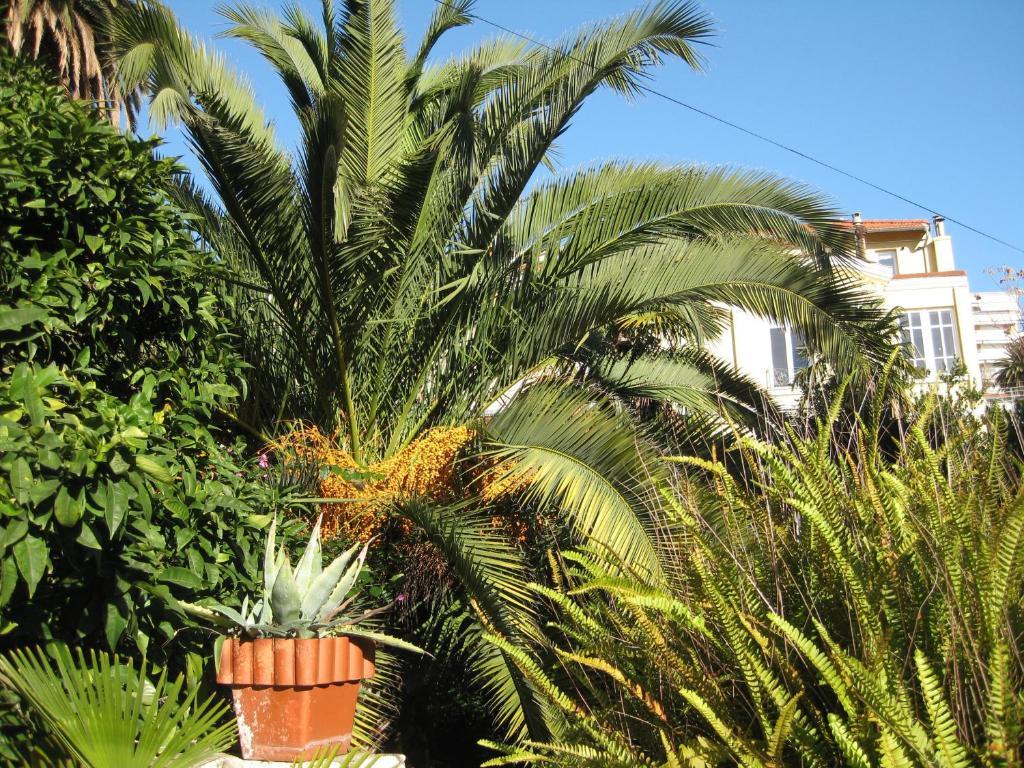 Hotel La Malouine 2*