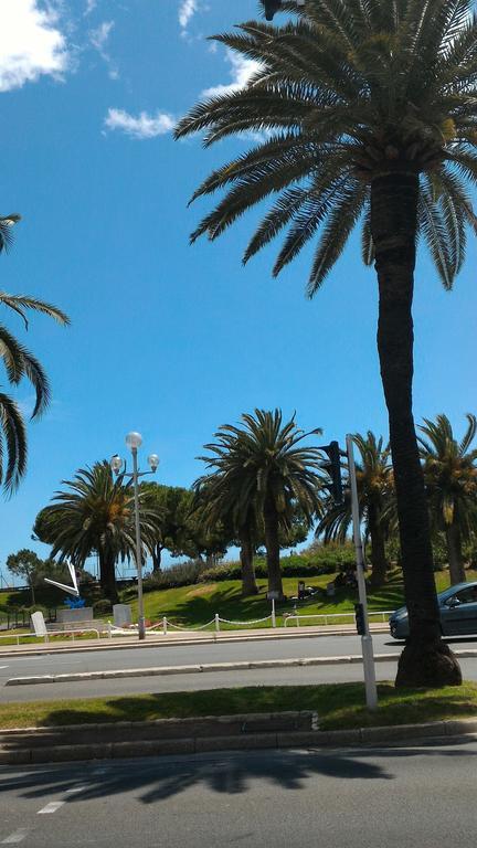 Ferber Nice